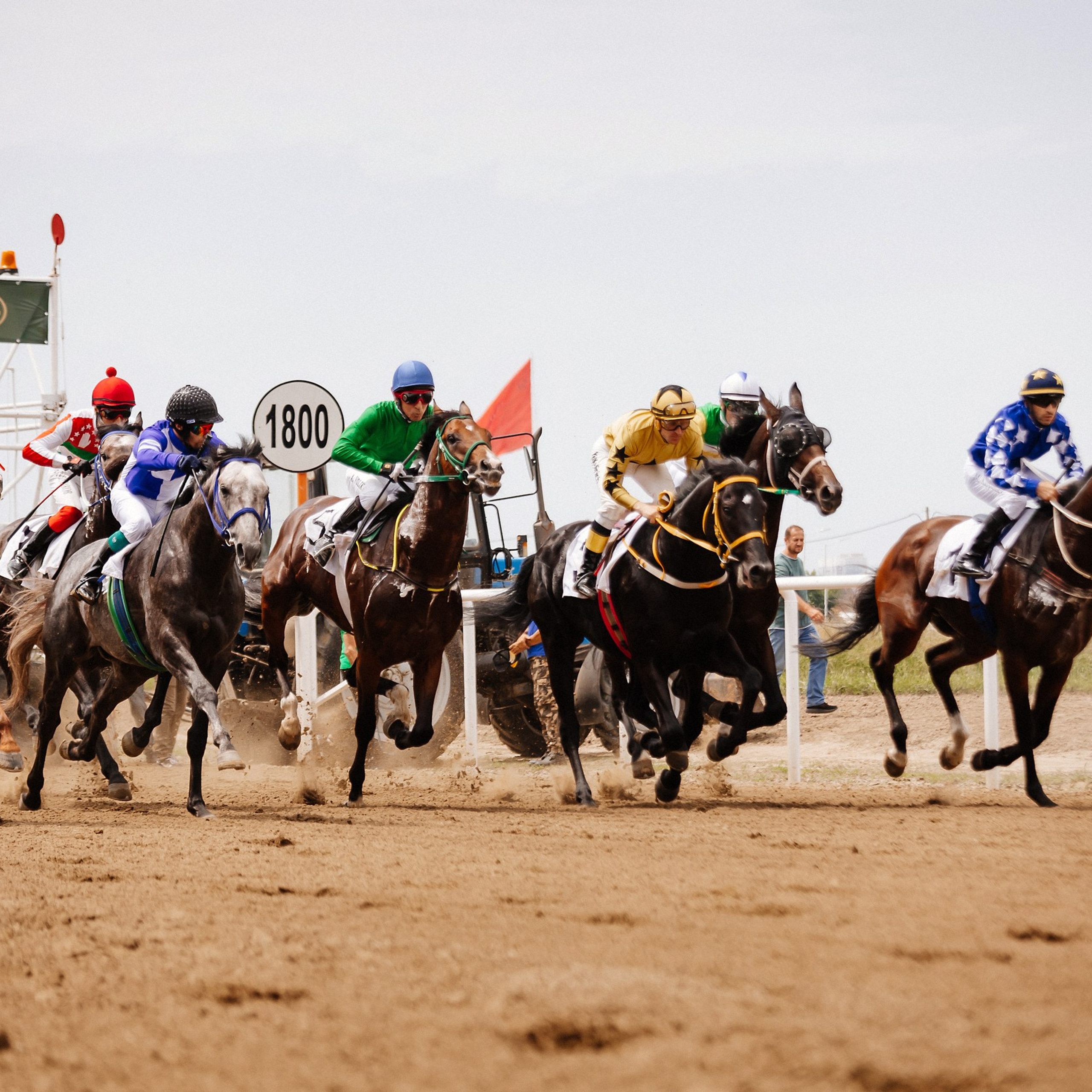 Скачки 10.06.23. Photographer | Anna Christia