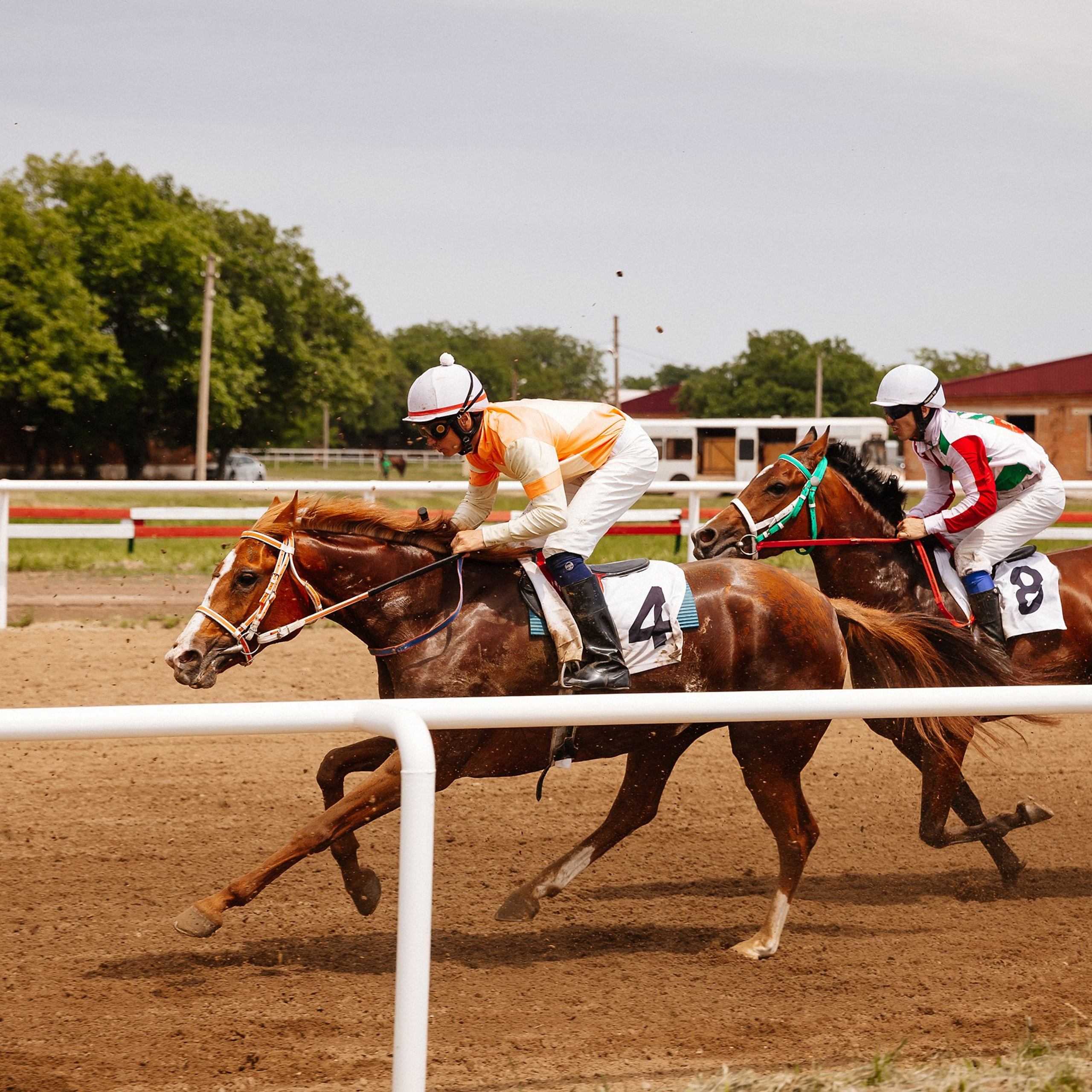 Скачки 10.06.23. Photographer | Anna Christia