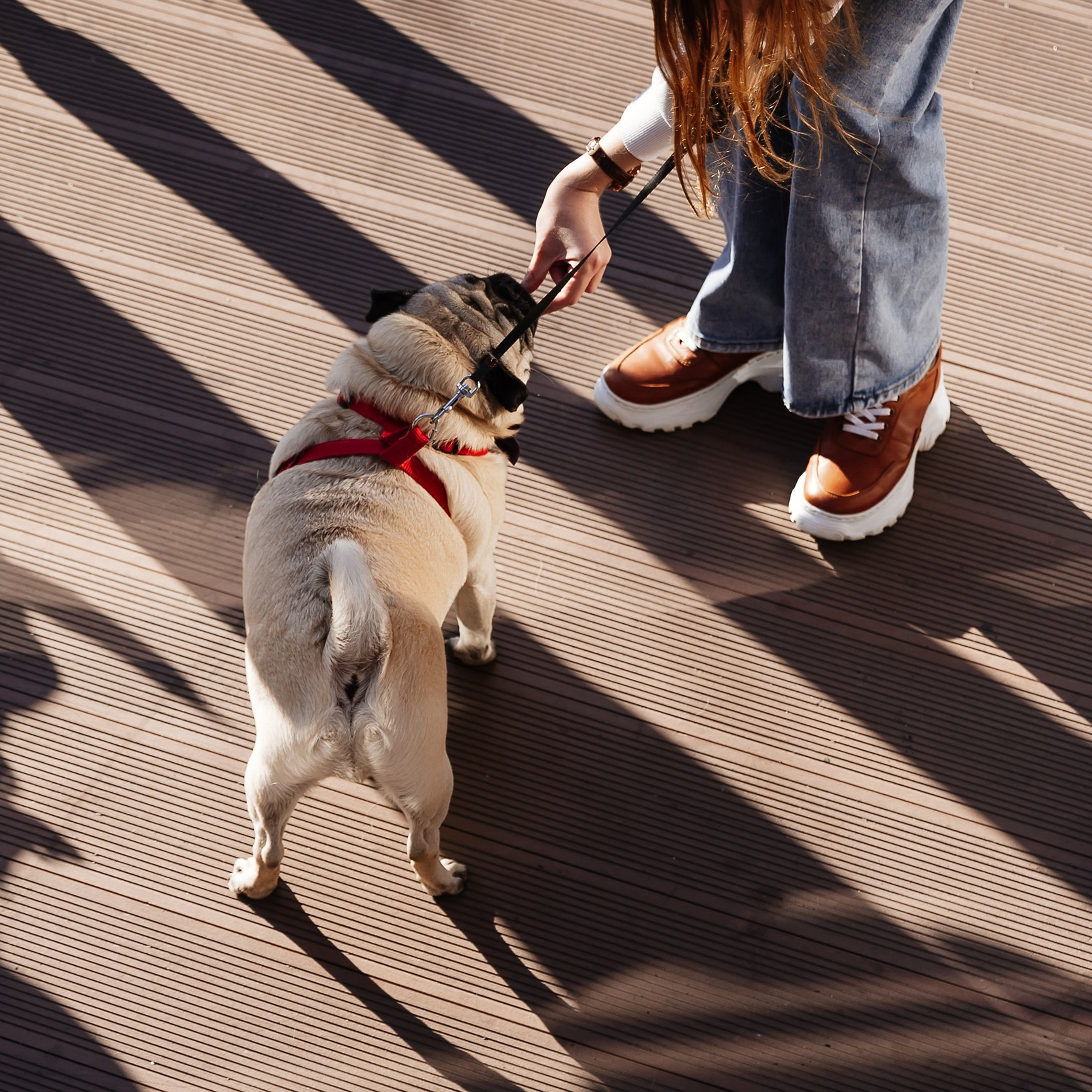 Boxpark 4.11.23. Photographer | Anna Christia