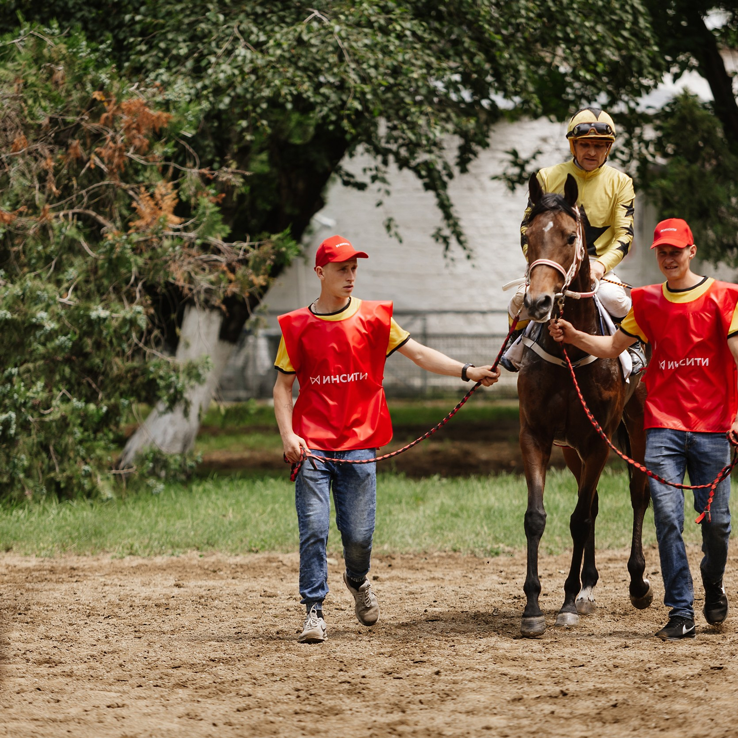 Скачки 17.06.23. Photographer | Anna Christia