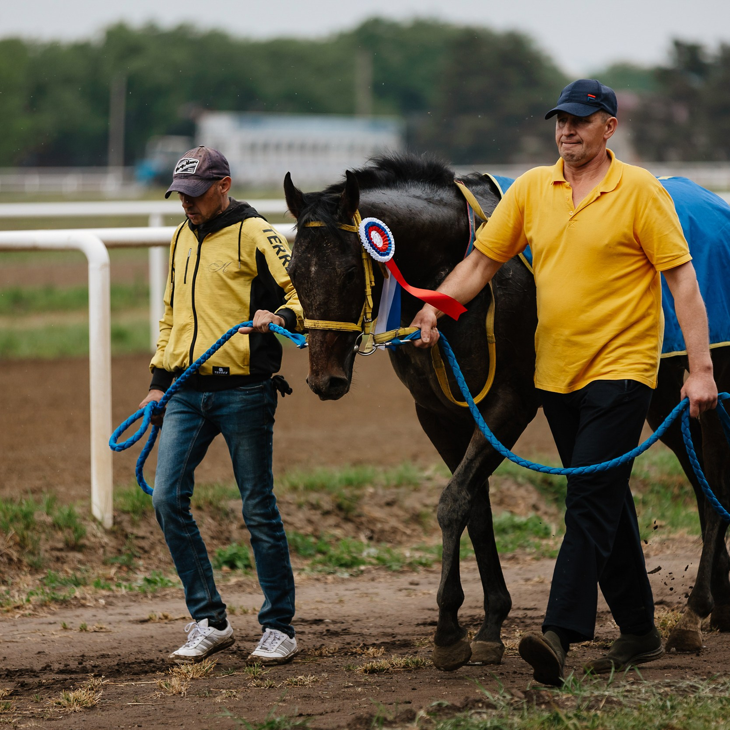 Скачки 11.05.24. Photographer | Anna Christia