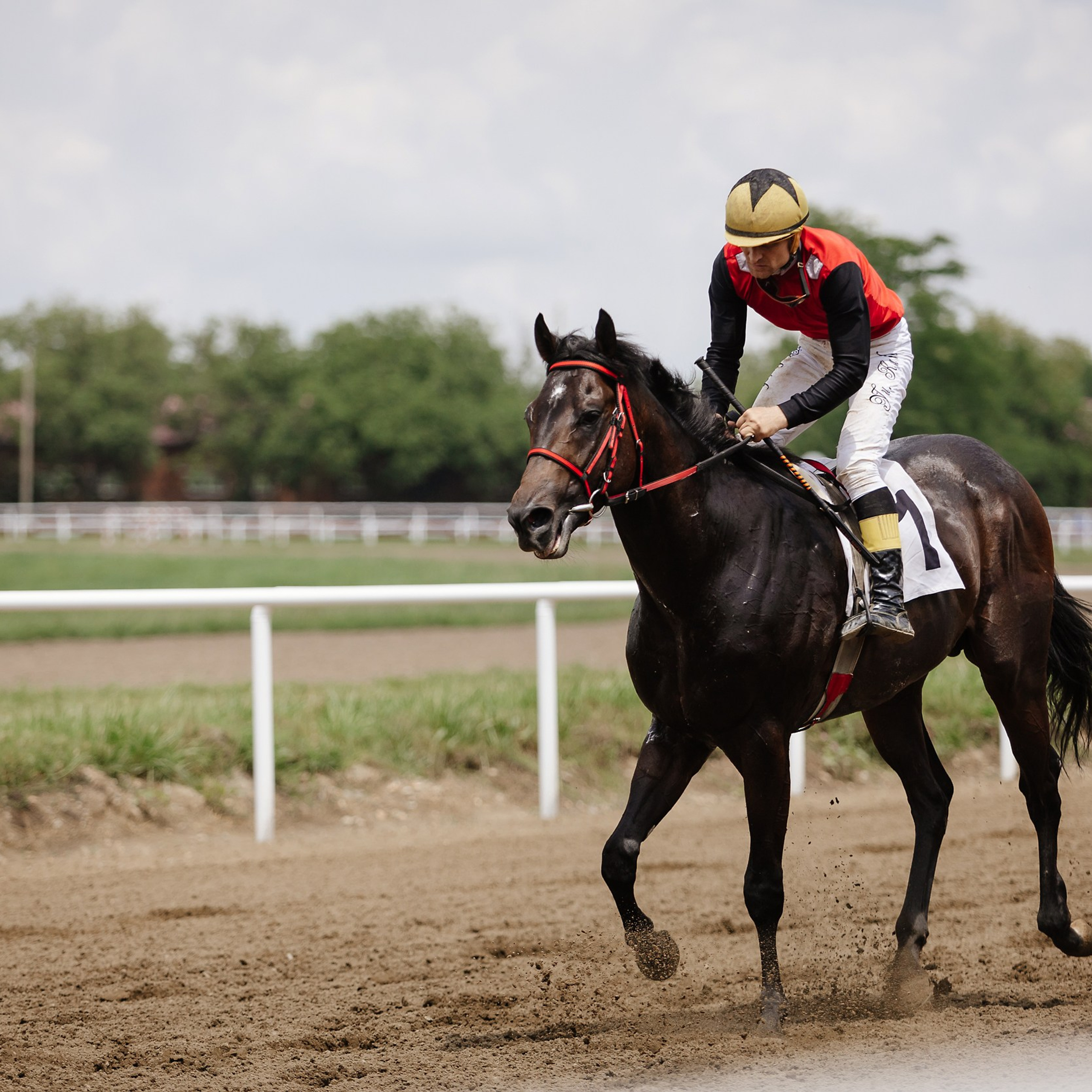 Скачки 17.06.23. Photographer | Anna Christia