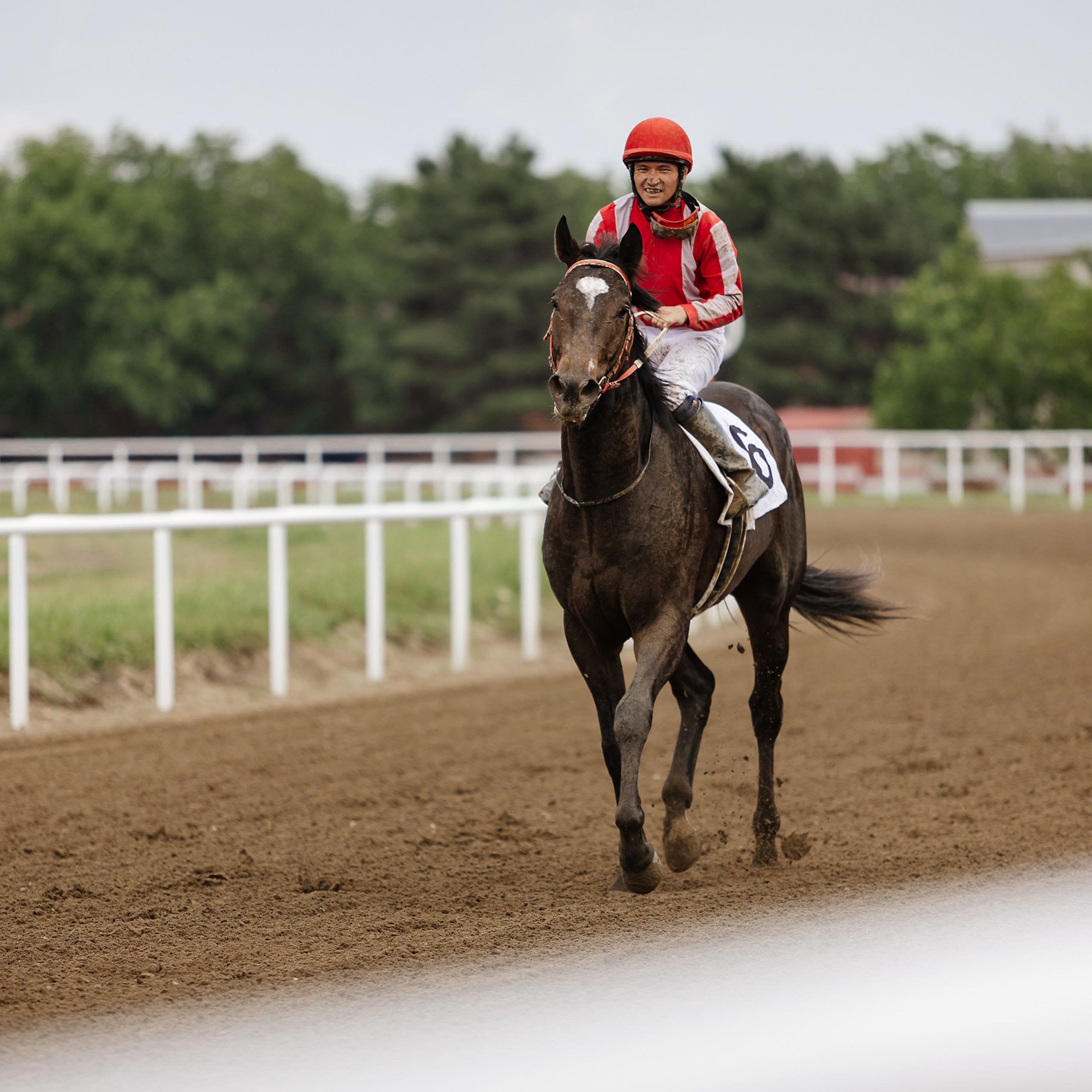 Скачки 17.06.23. Photographer | Anna Christia