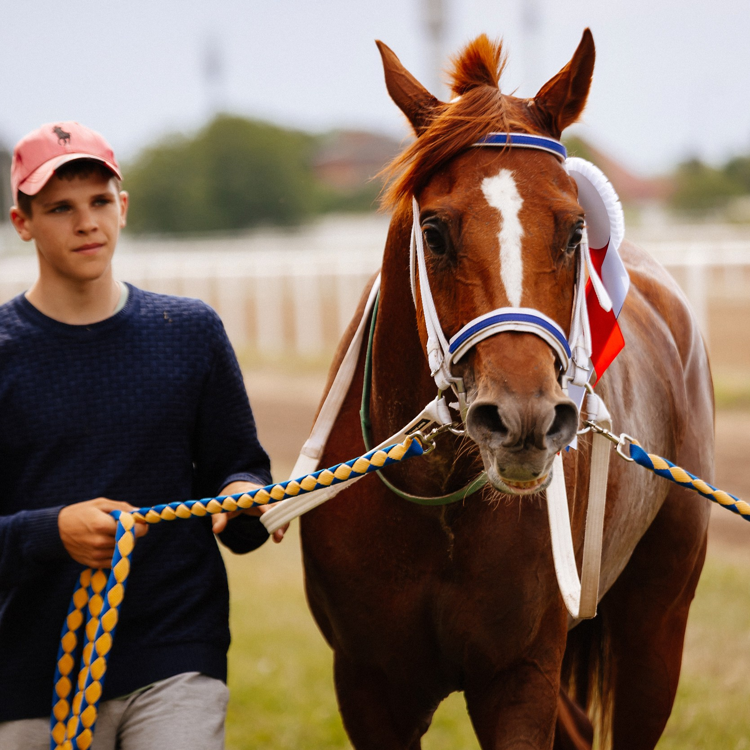 Скачки 10.06.23. Photographer | Anna Christia