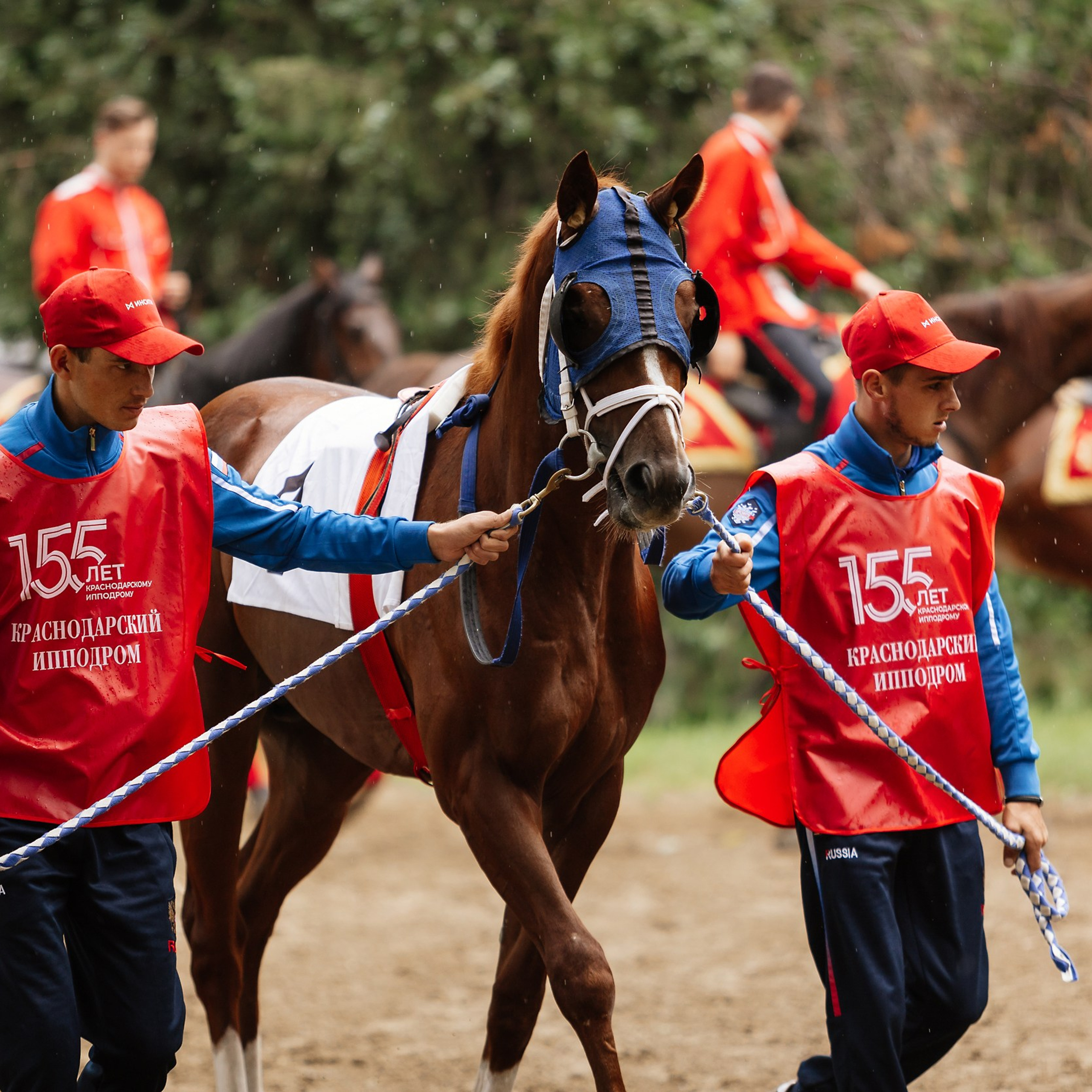 Скачки 17.06.23. Photographer | Anna Christia