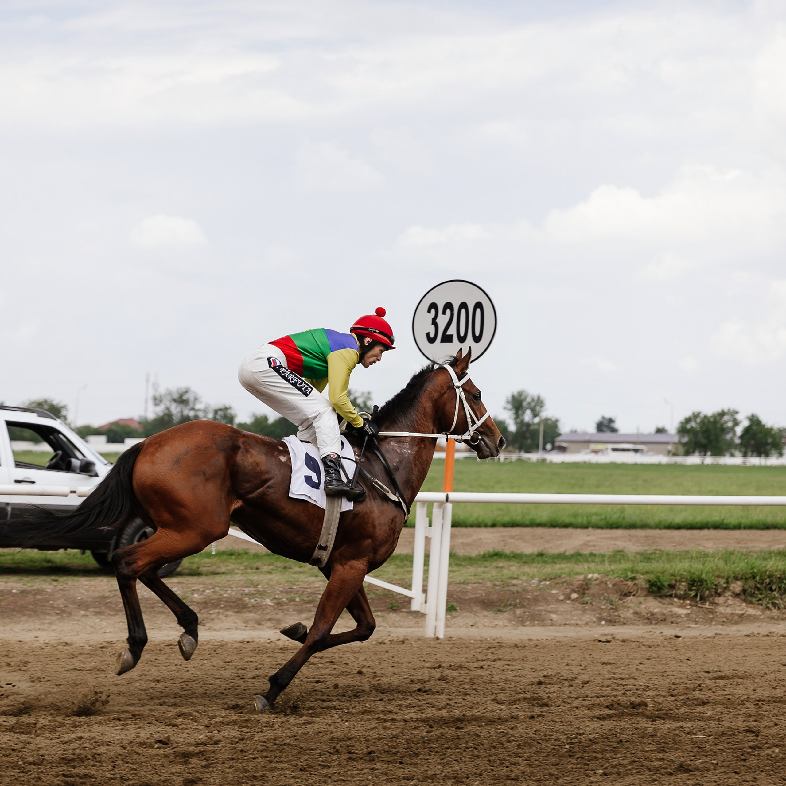 Скачки 17.06.23. Photographer | Anna Christia