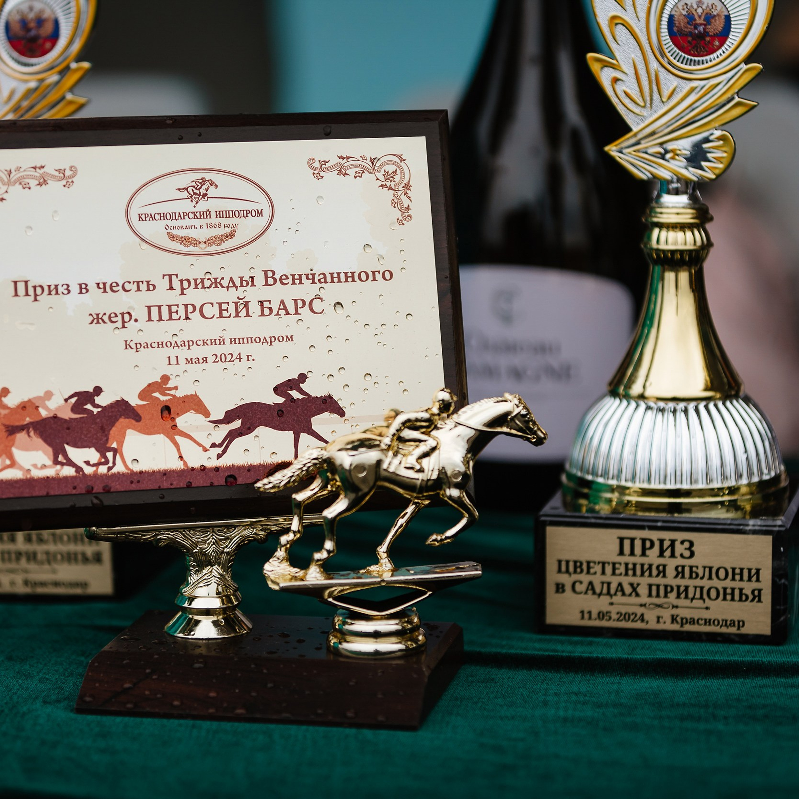 Скачки 11.05.24. Photographer | Anna Christia