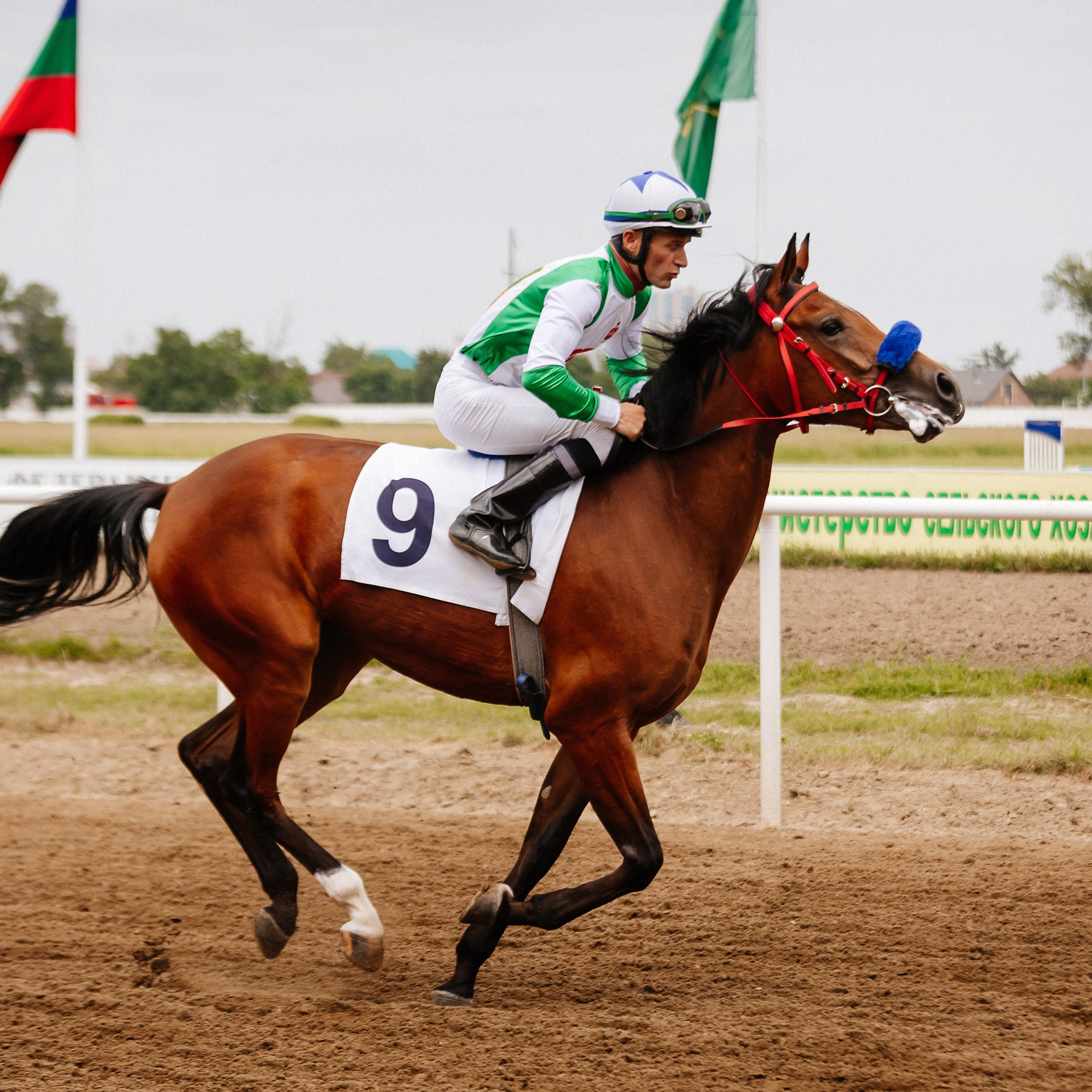 Скачки 10.06.23. Photographer | Anna Christia