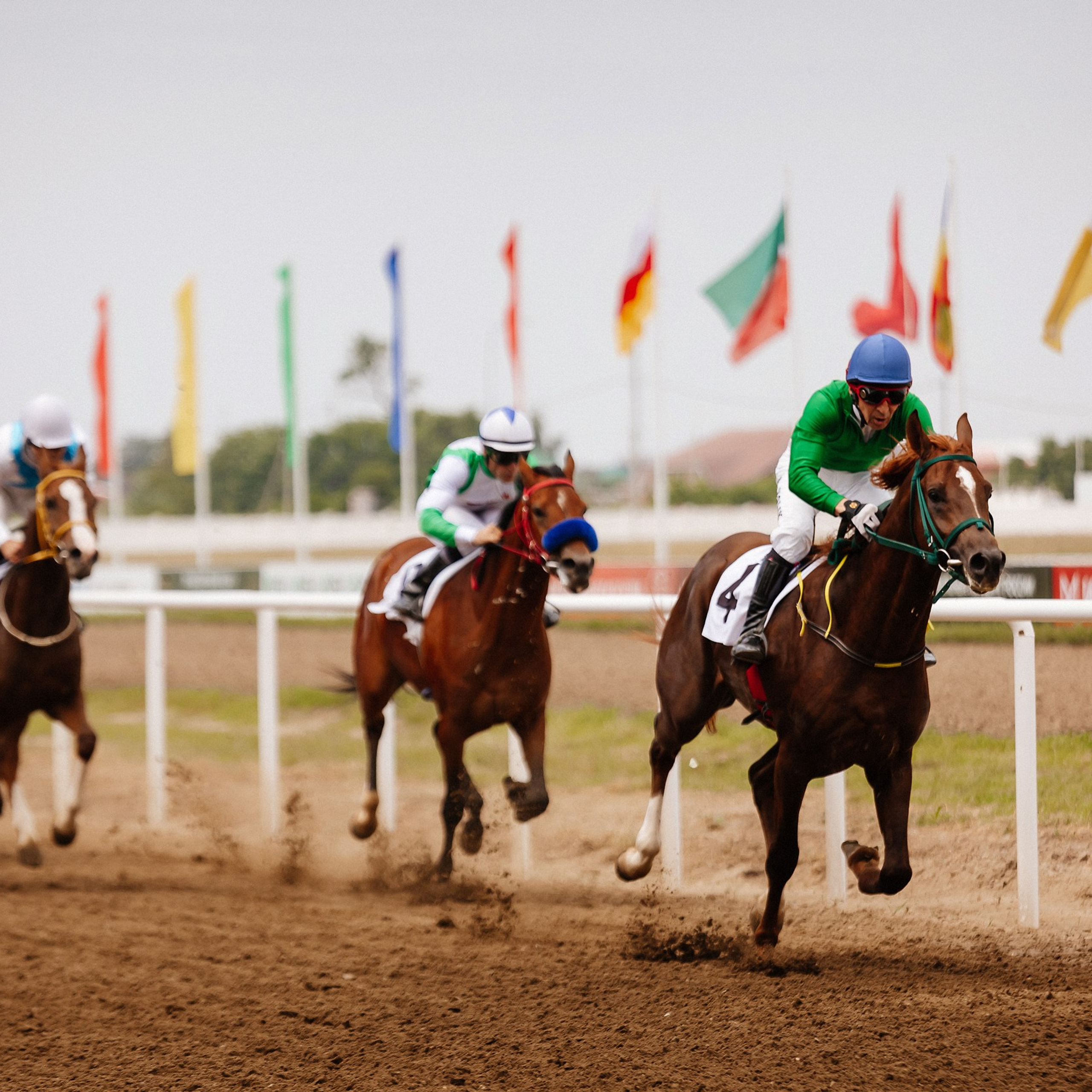 Скачки 10.06.23. Photographer | Anna Christia