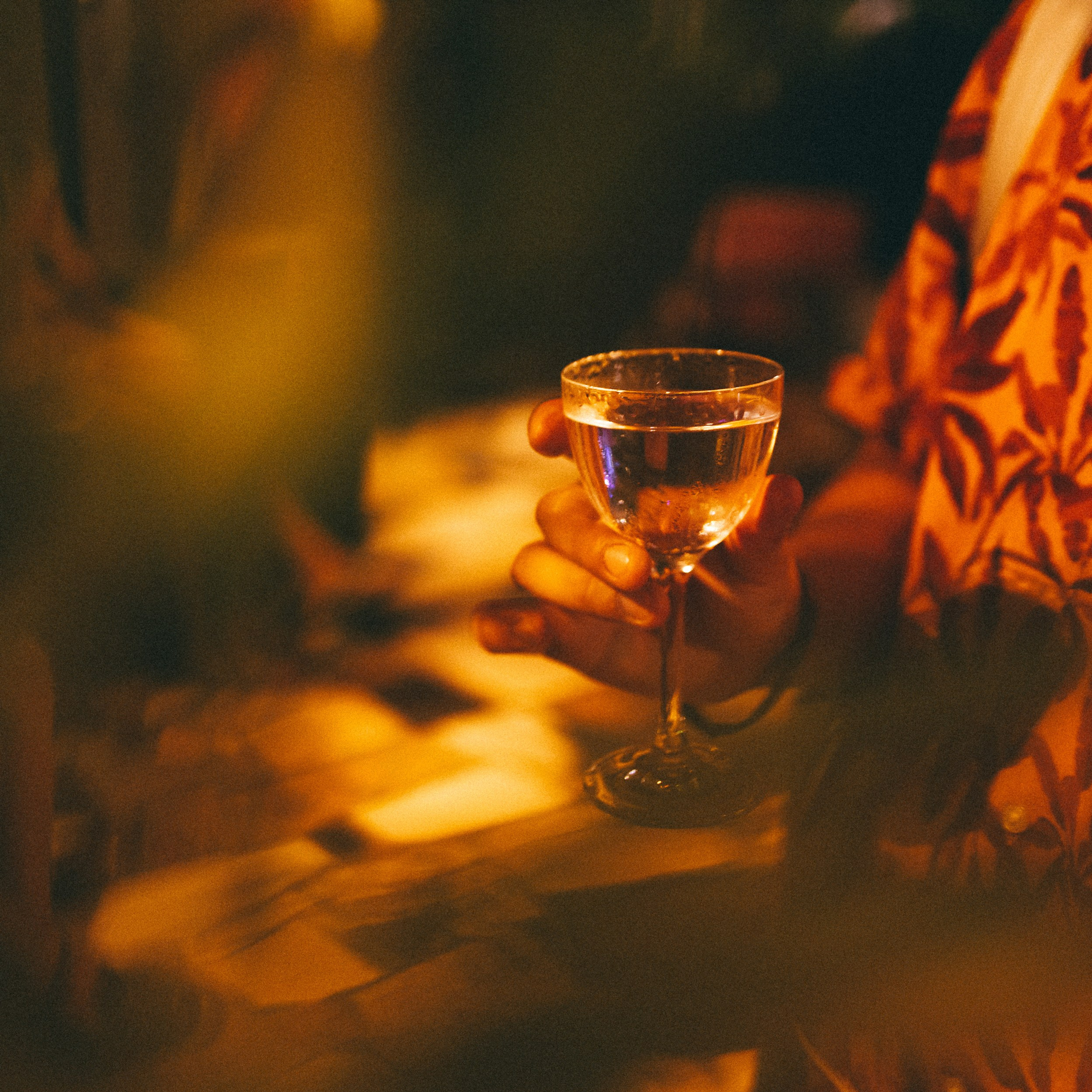 Концерт Zoloto 5.08.23. Photographer | Anna Christia