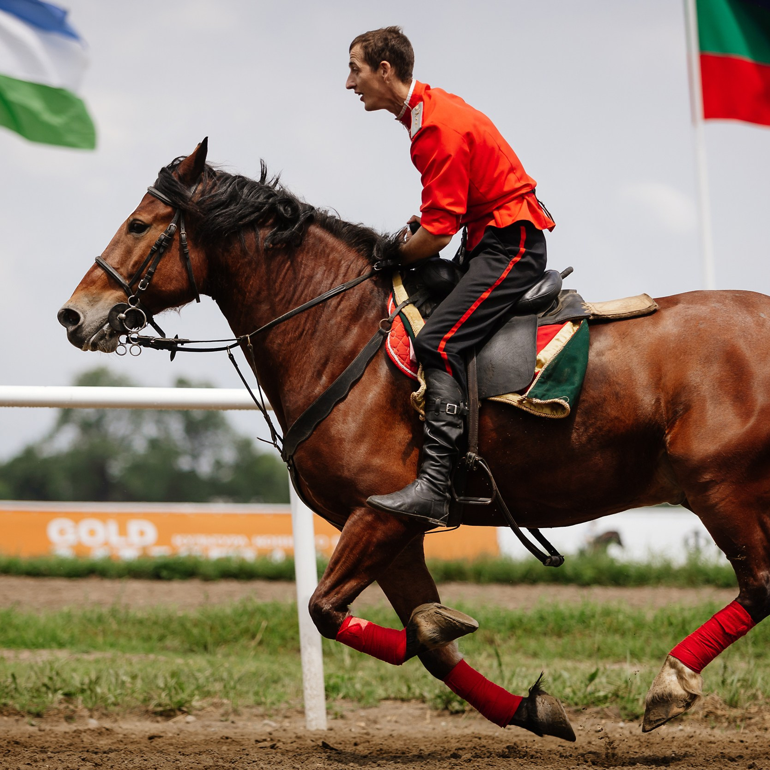Скачки 17.06.23. Photographer | Anna Christia