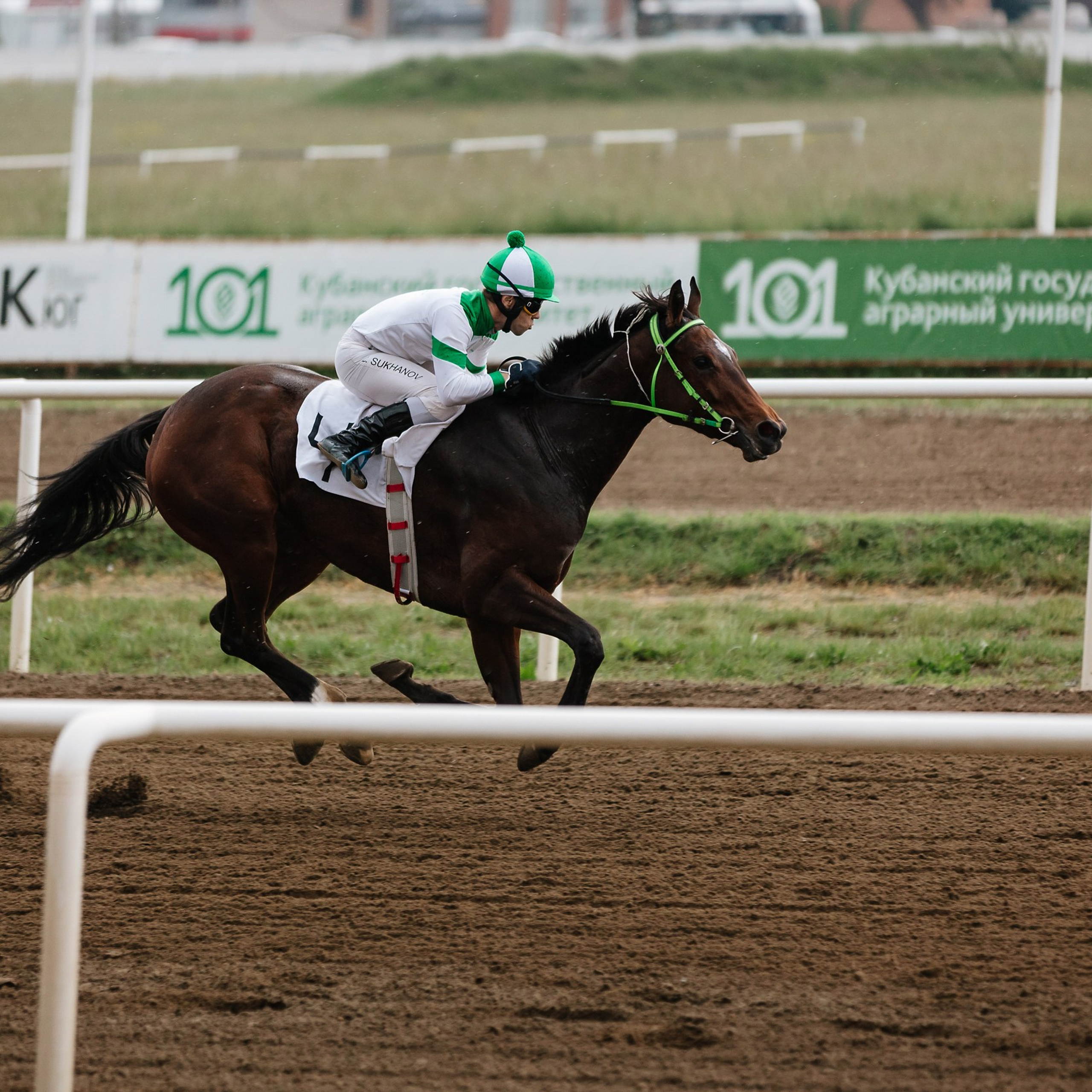 Скачки 11.05.24. Photographer | Anna Christia