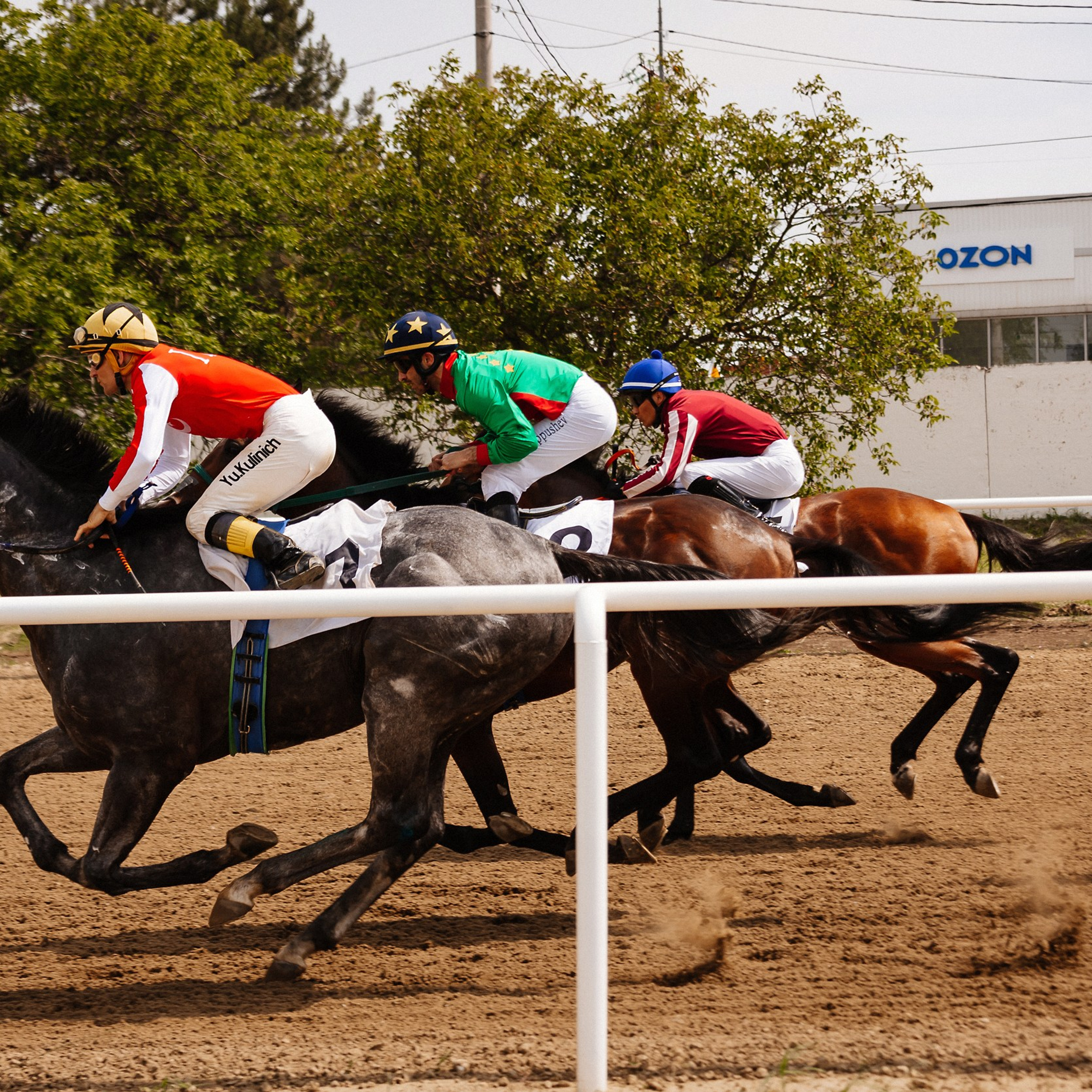 Скачки 10.06.23. Photographer | Anna Christia