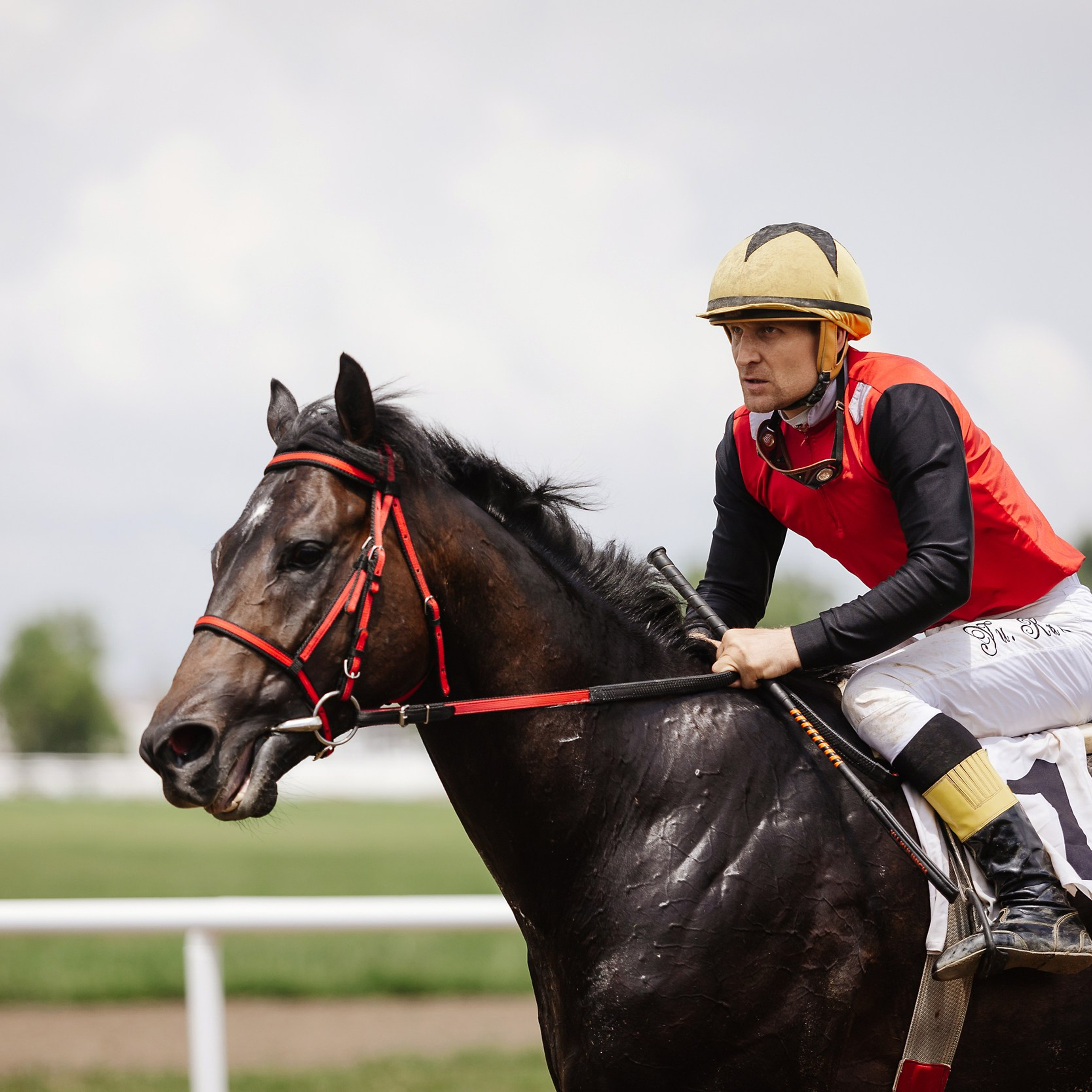 Скачки 17.06.23. Photographer | Anna Christia