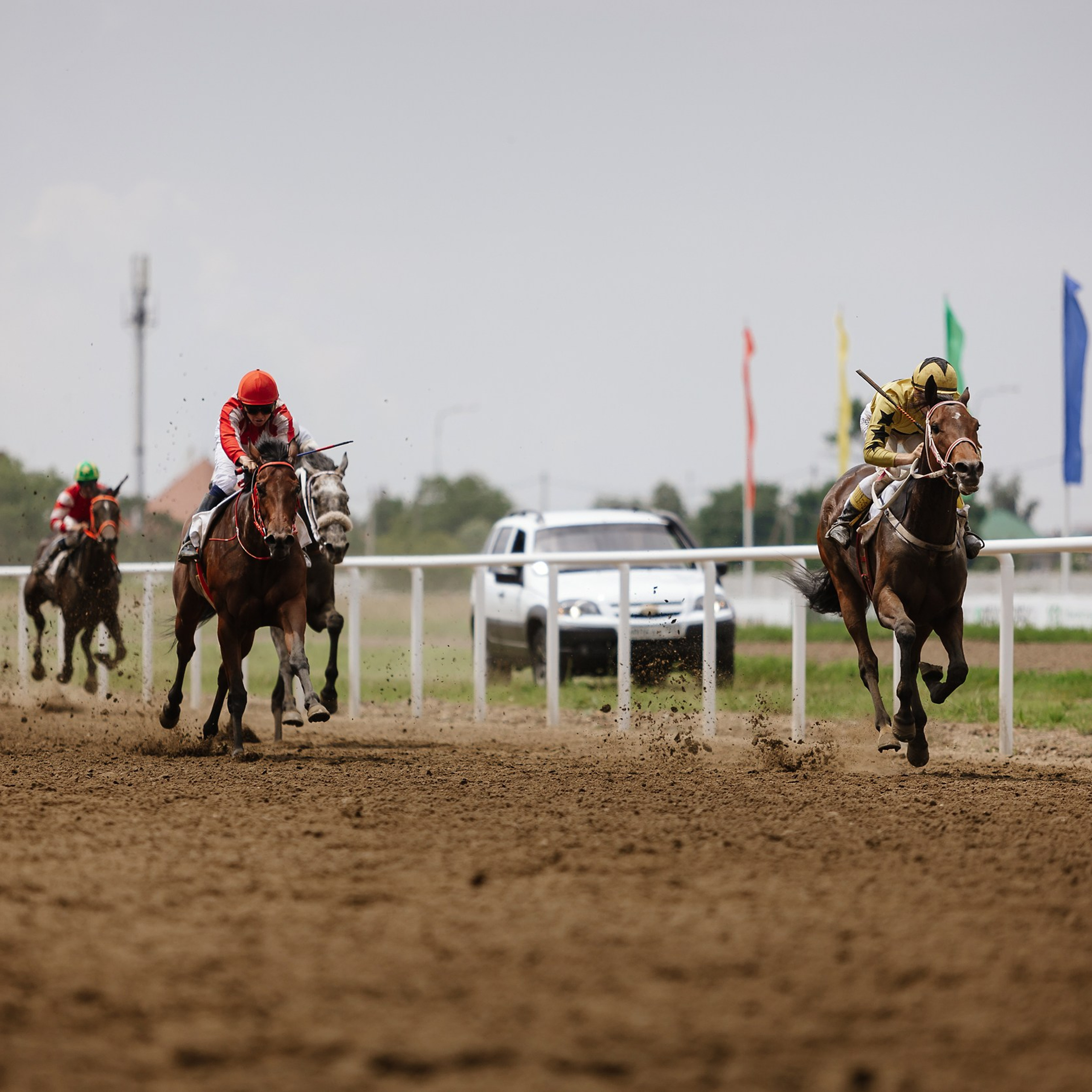 Скачки 17.06.23. Photographer | Anna Christia