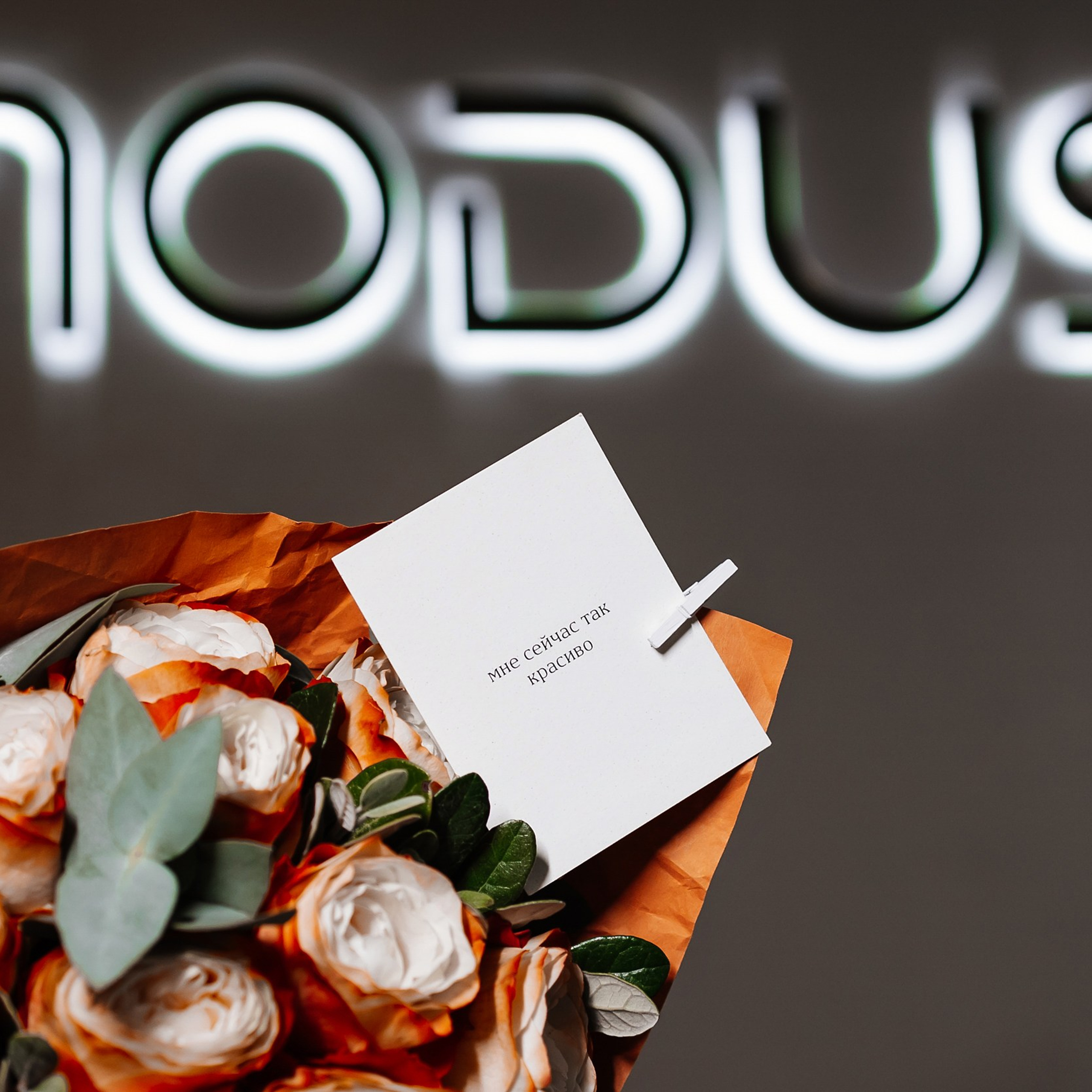 My Modus 3.11.23. Photographer | Anna Christia