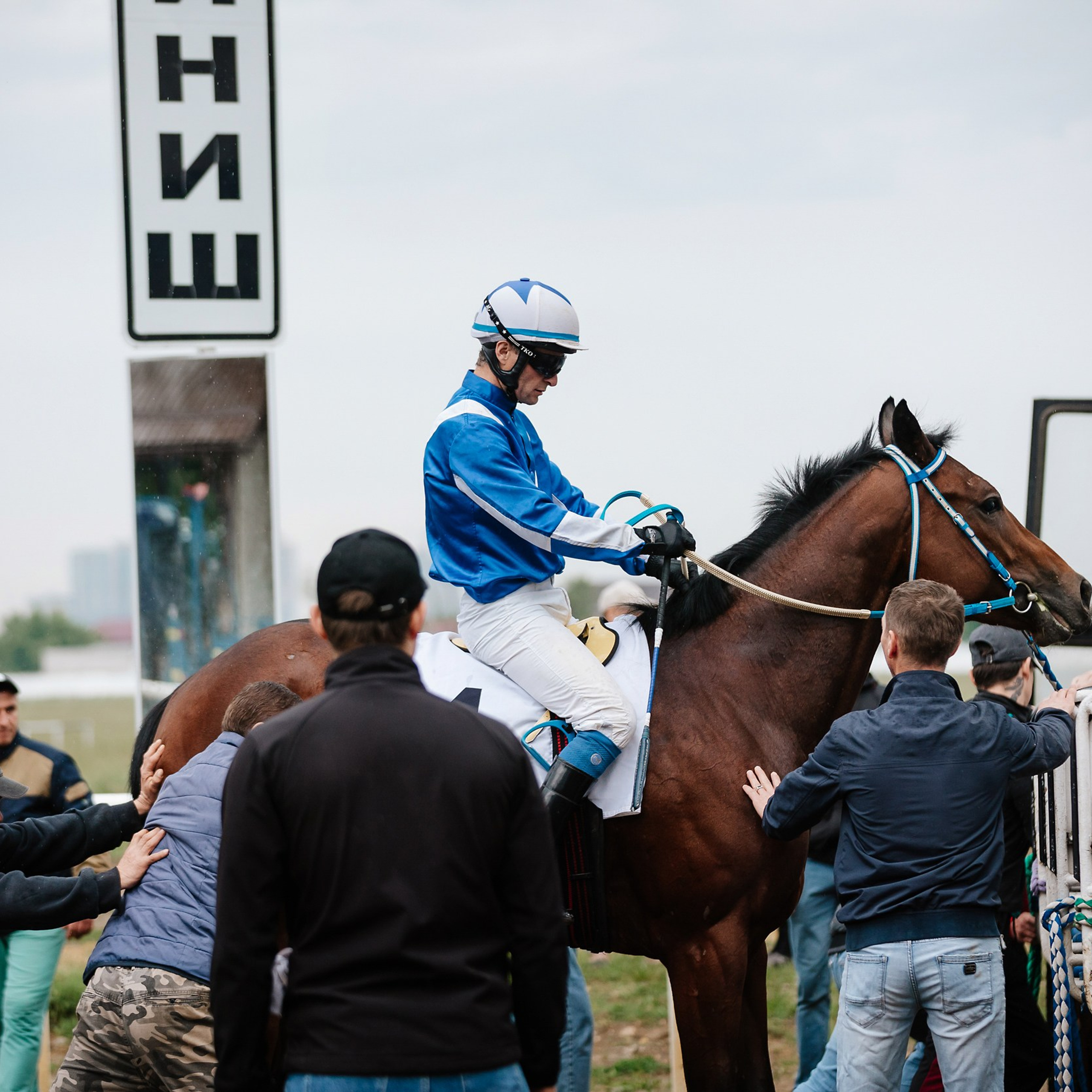 Скачки 11.05.24. Photographer | Anna Christia