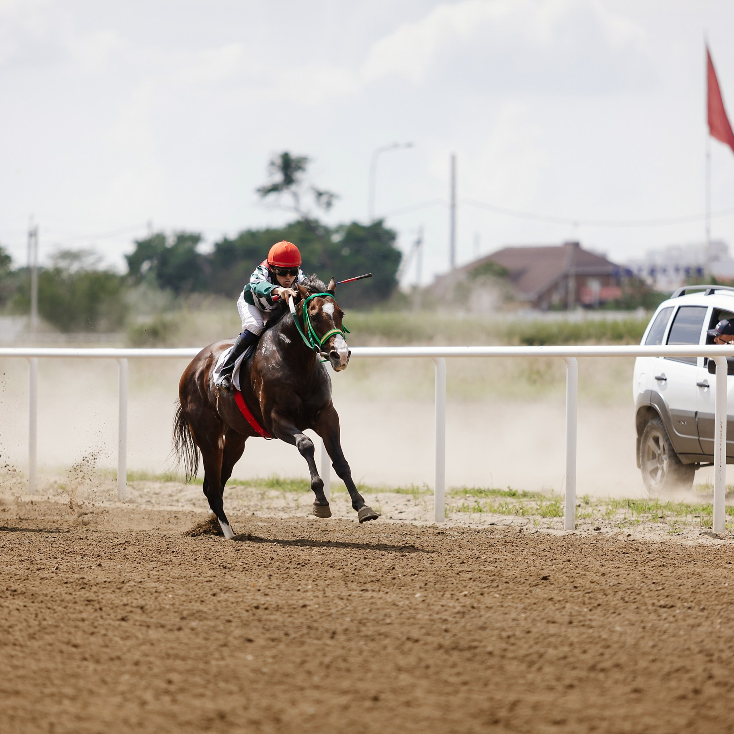 Скачки 17.06.23. Photographer | Anna Christia
