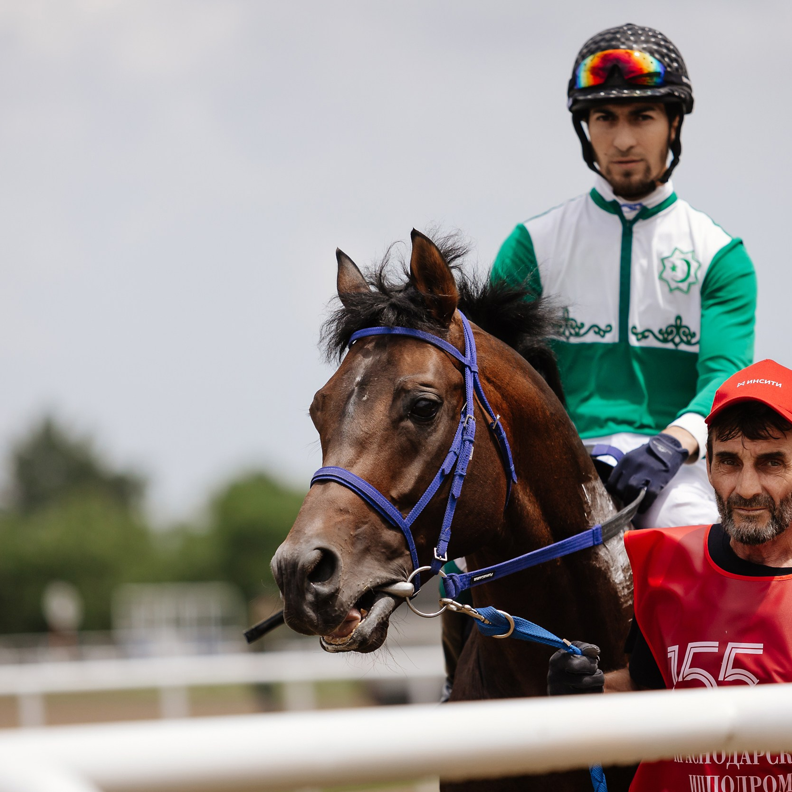 Скачки 17.06.23. Photographer | Anna Christia