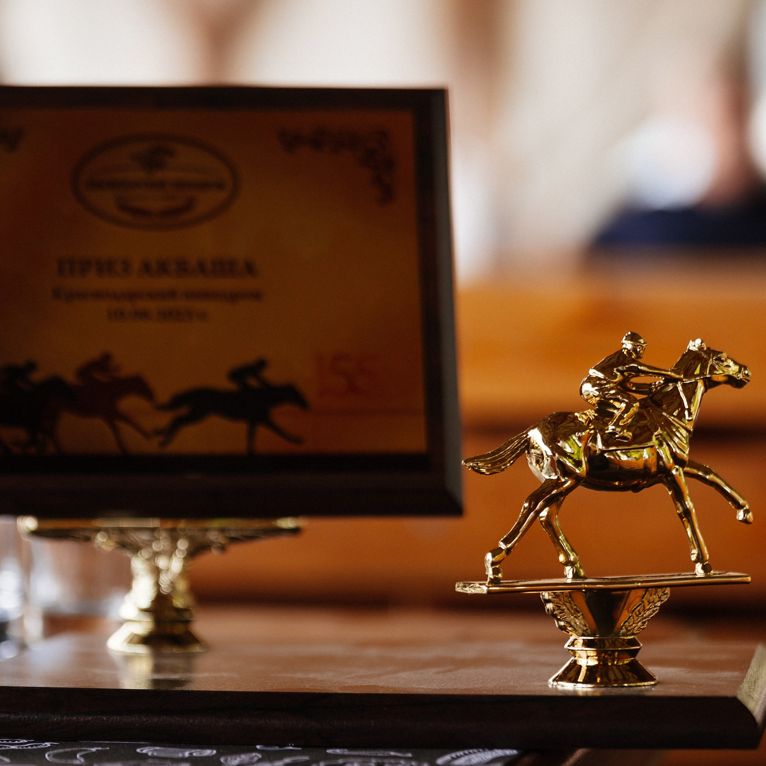 Скачки 10.06.23. Photographer | Anna Christia