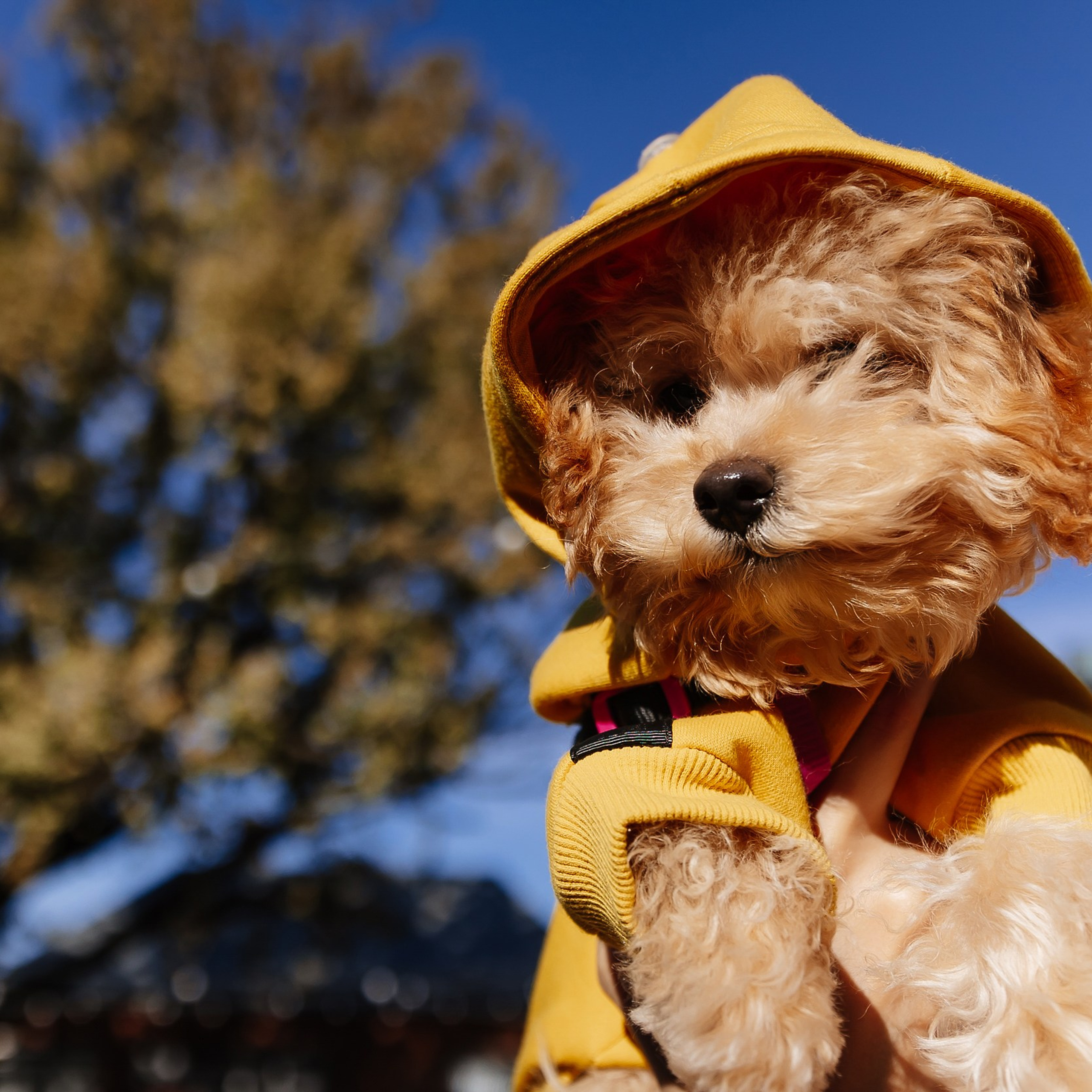 Boxpark 4.11.23. Photographer | Anna Christia