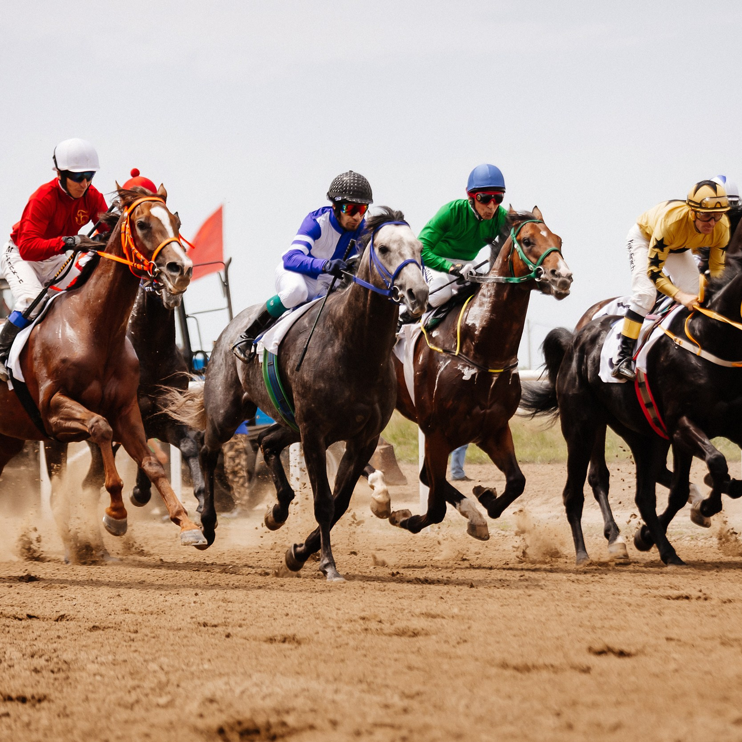 Скачки 10.06.23. Photographer | Anna Christia