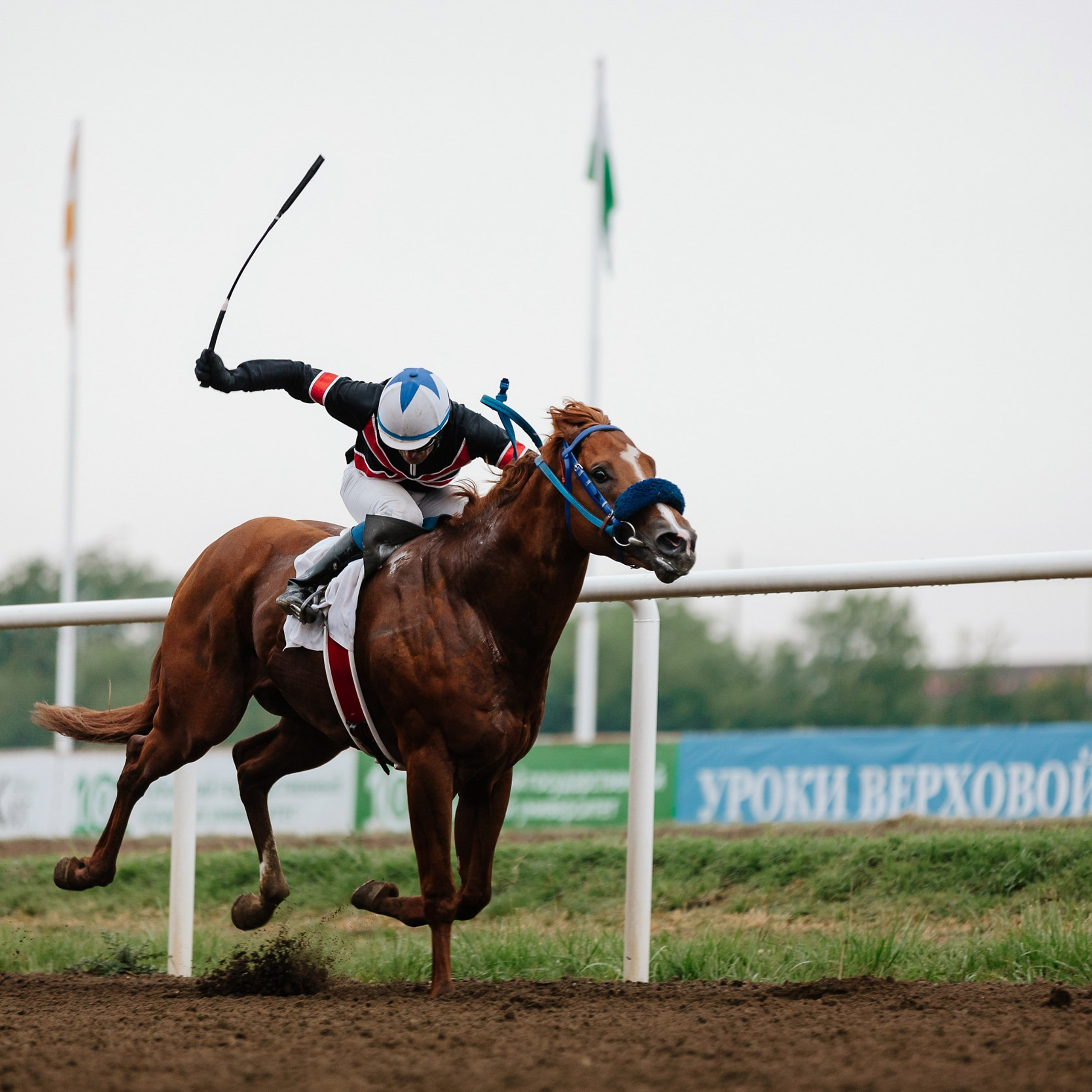 Скачки 11.05.24. Photographer | Anna Christia