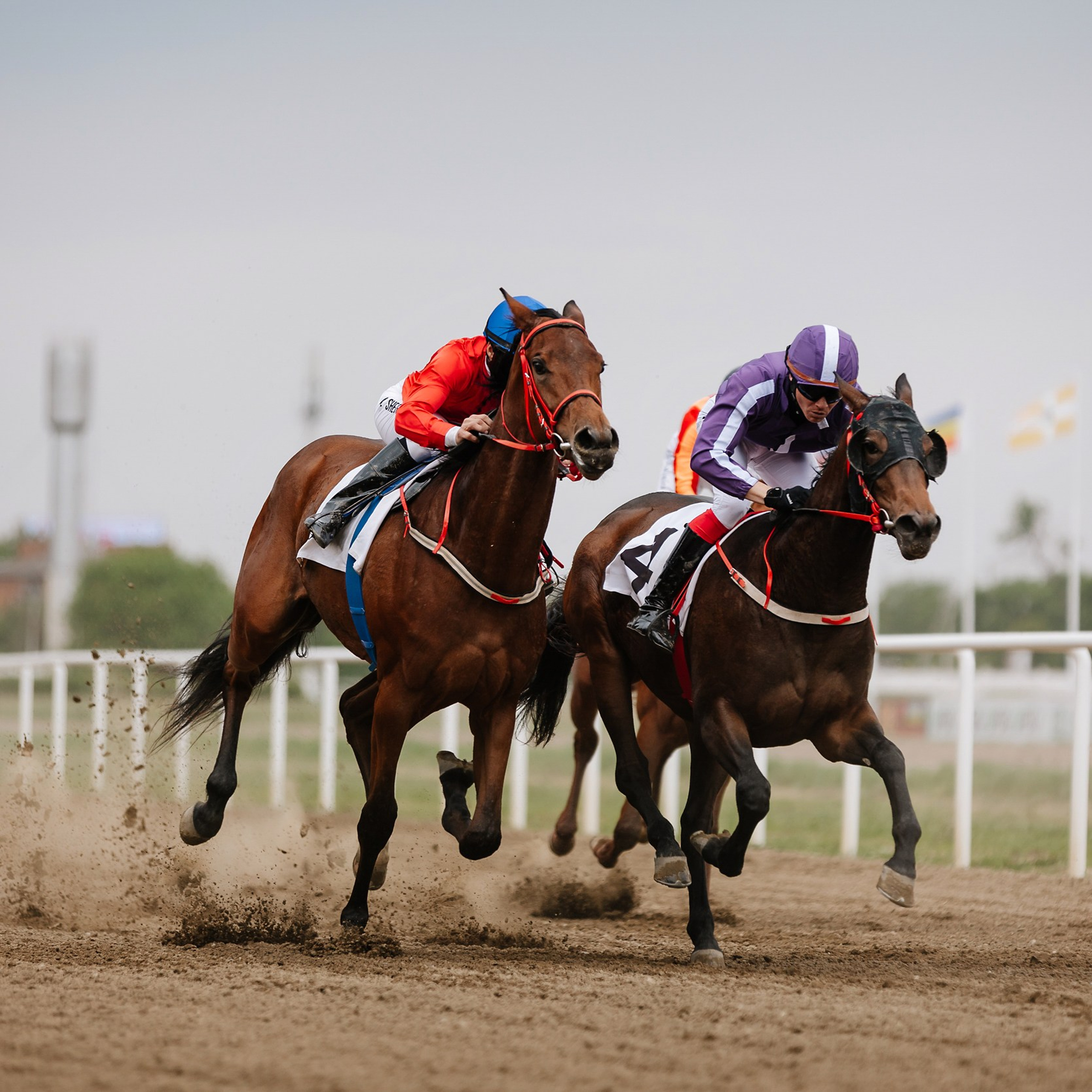 Скачки 11.05.24. Photographer | Anna Christia