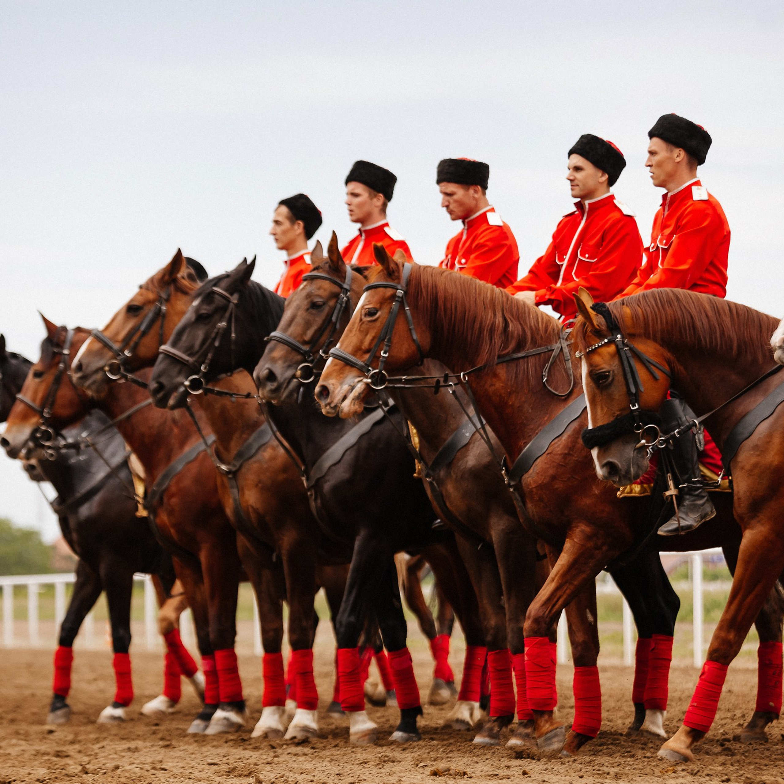 Скачки 10.06.23. Photographer | Anna Christia