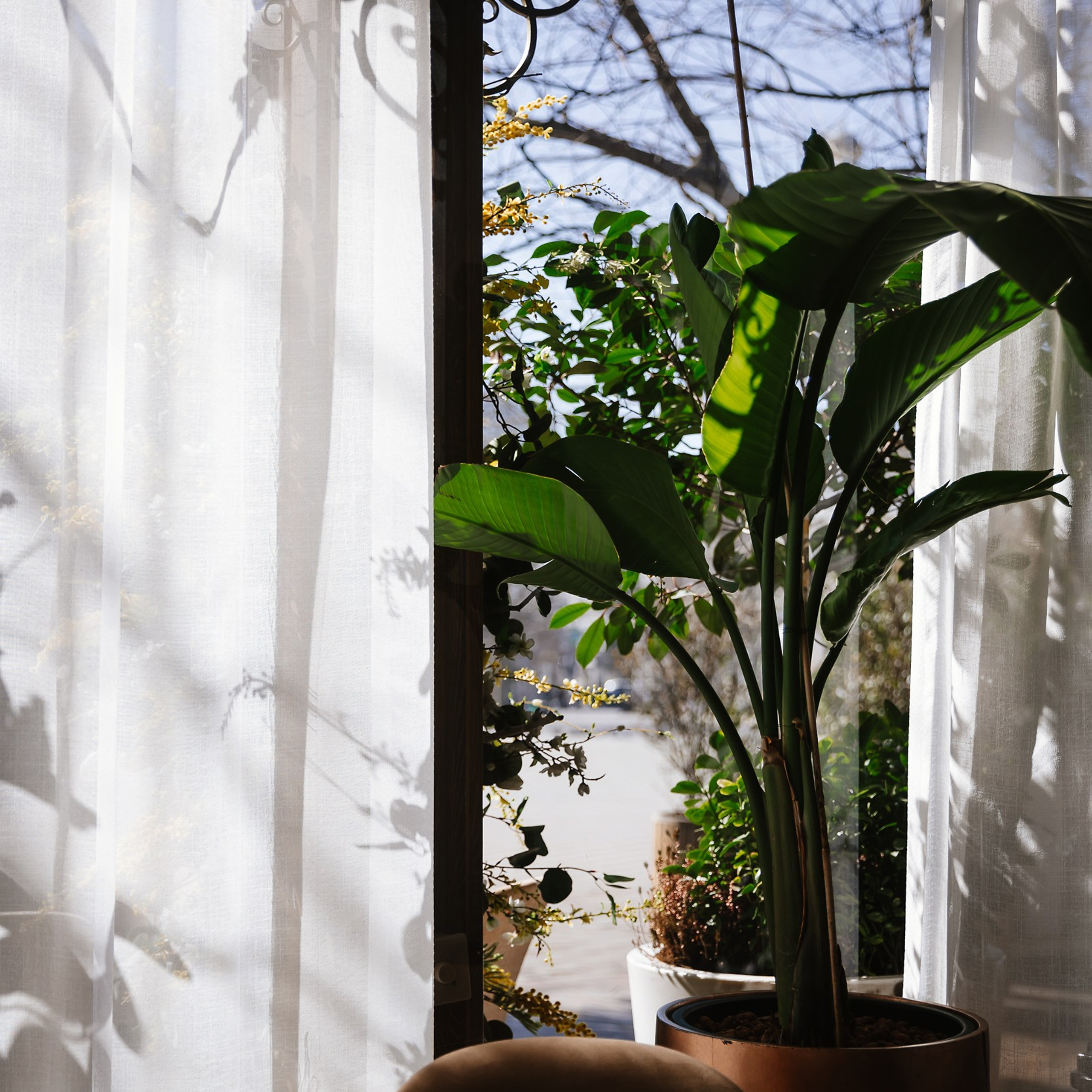 Бренд-бранч 29.02.24. Photographer | Anna Christia