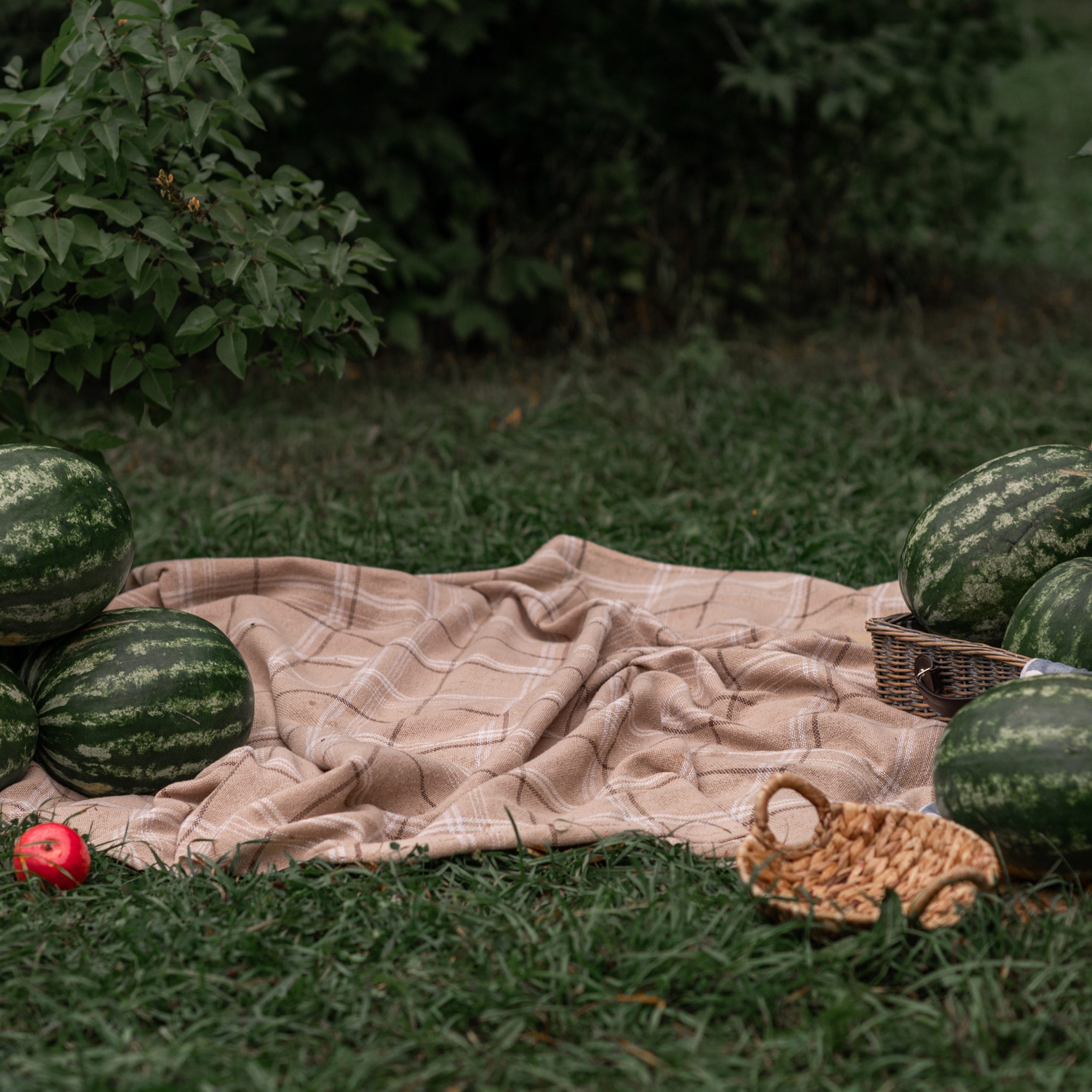 Отзывы. Семейный фотограф Екатеринбург Лора Мур