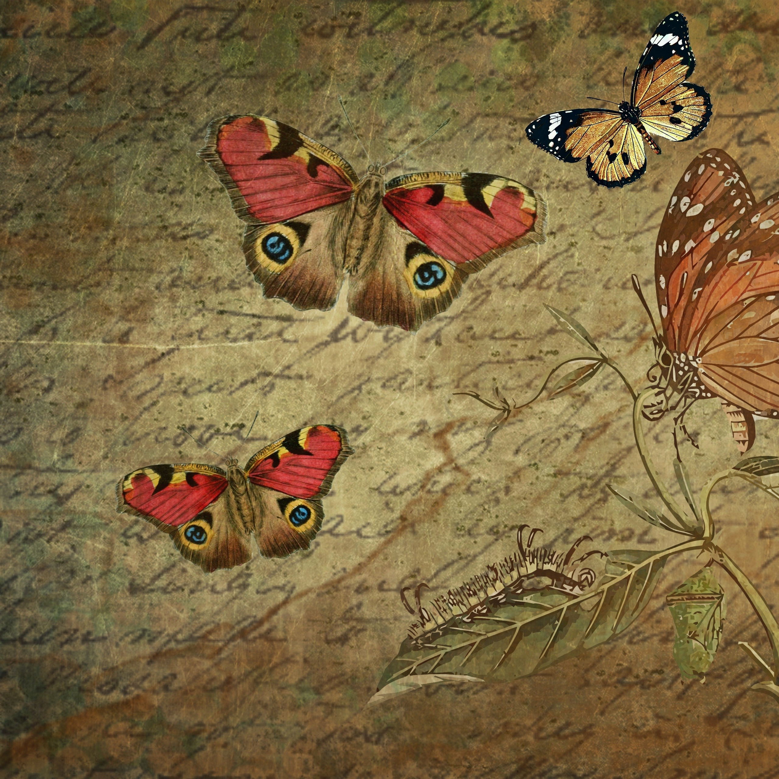 ОТЗЫВЫ. Https://malovafoto.ru