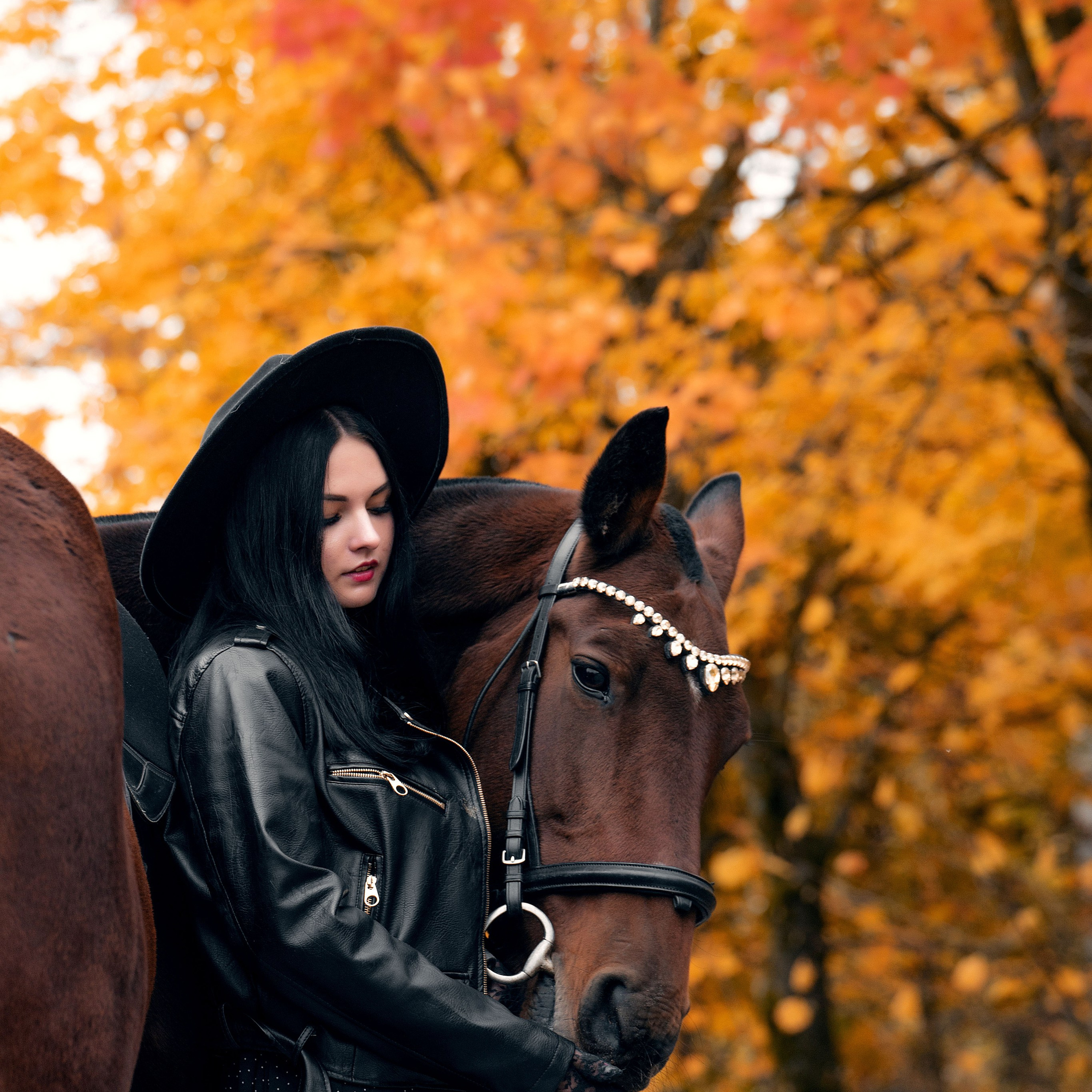 Отзывы. Фотограф в Калуге фотосессии с лошадьми в Калуге Грешнова Ольга