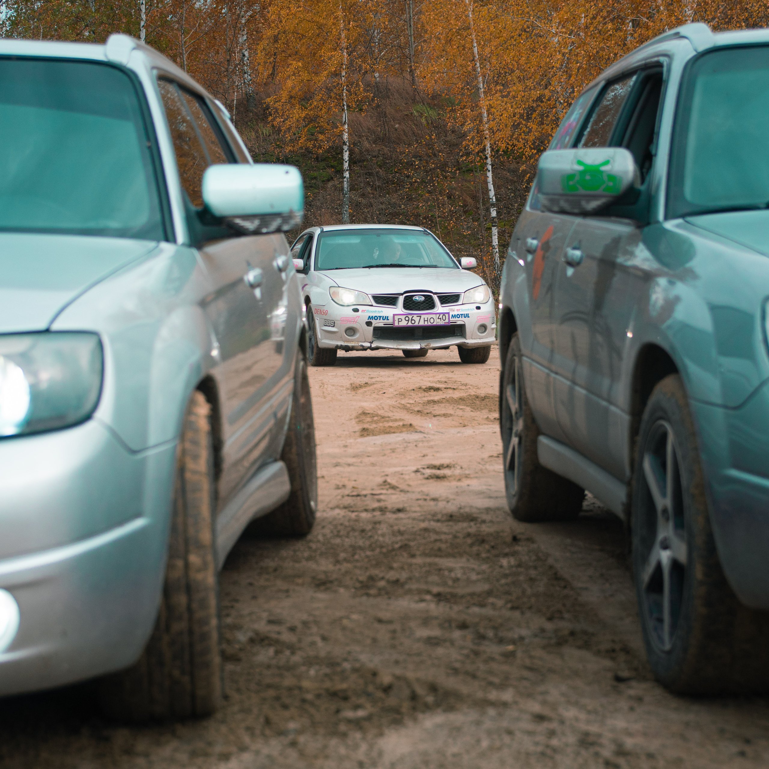 Отзывы. Фотограф в Калуге фотосессии с лошадьми в Калуге Грешнова Ольга