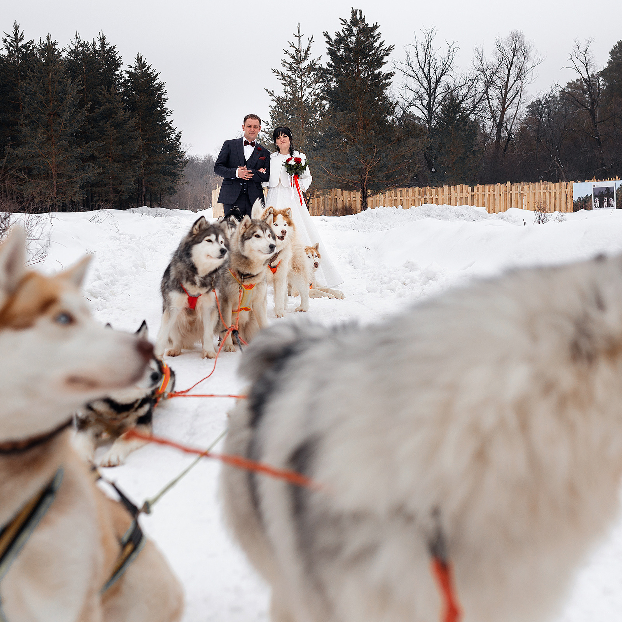Wedding. Свадебный и портретный фотограф в Самаре и Бузулуке Антон Манцеров
