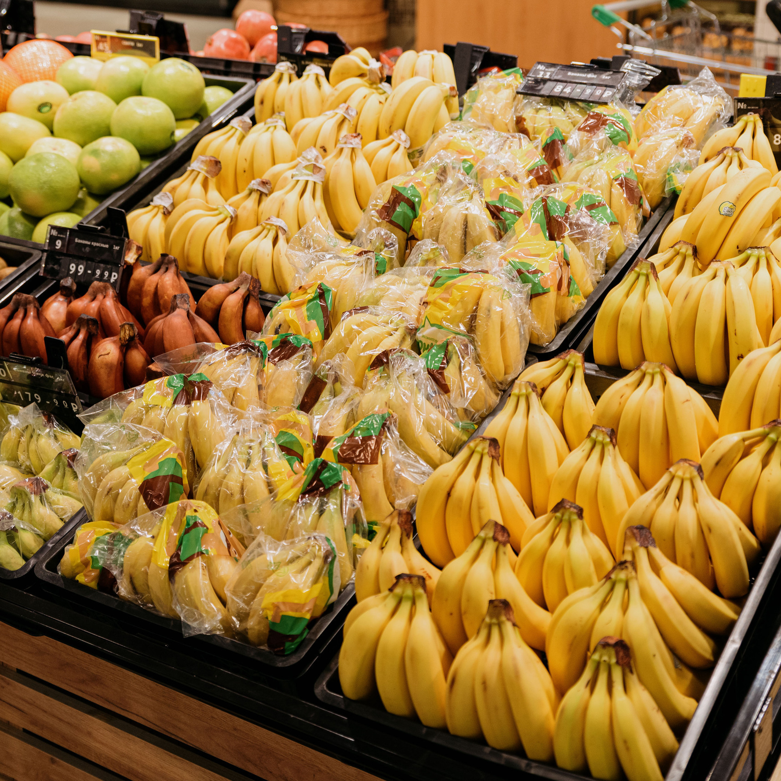 Отзывы. Фотограф в Москве