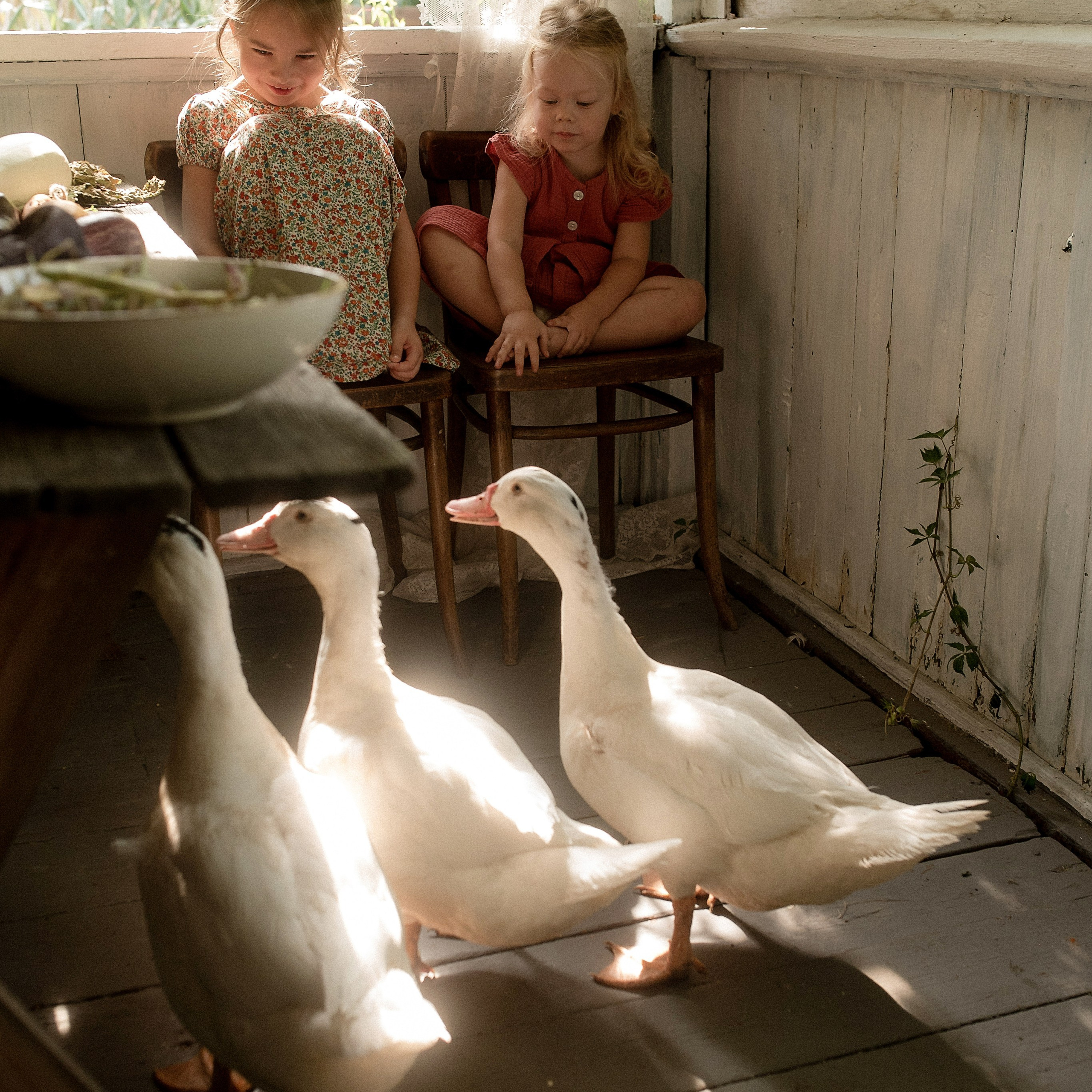 Summer in the villages