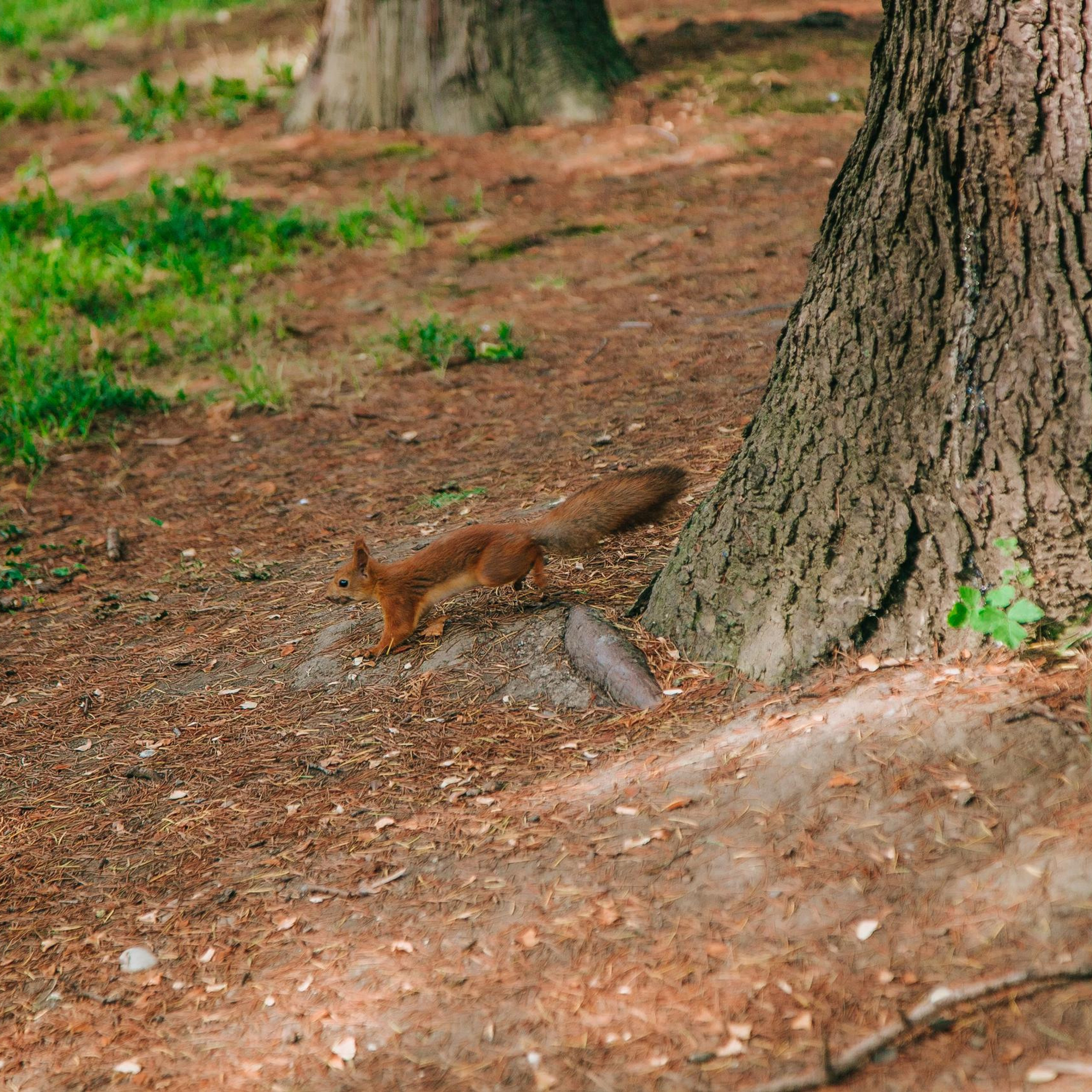 Отзывы об услугах компании Fotix - Сочи. Услуги фотографа в Сочи