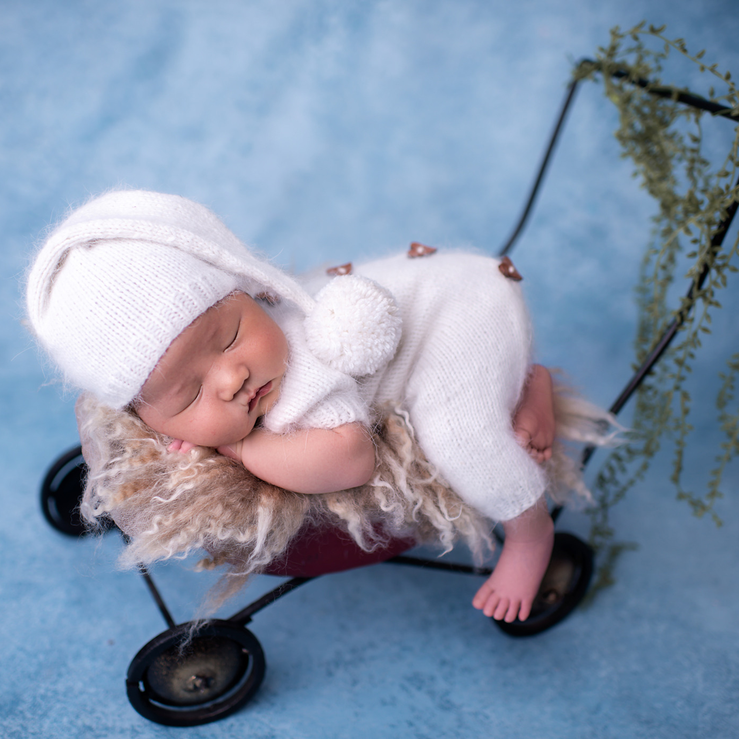 Нурали 15 дней