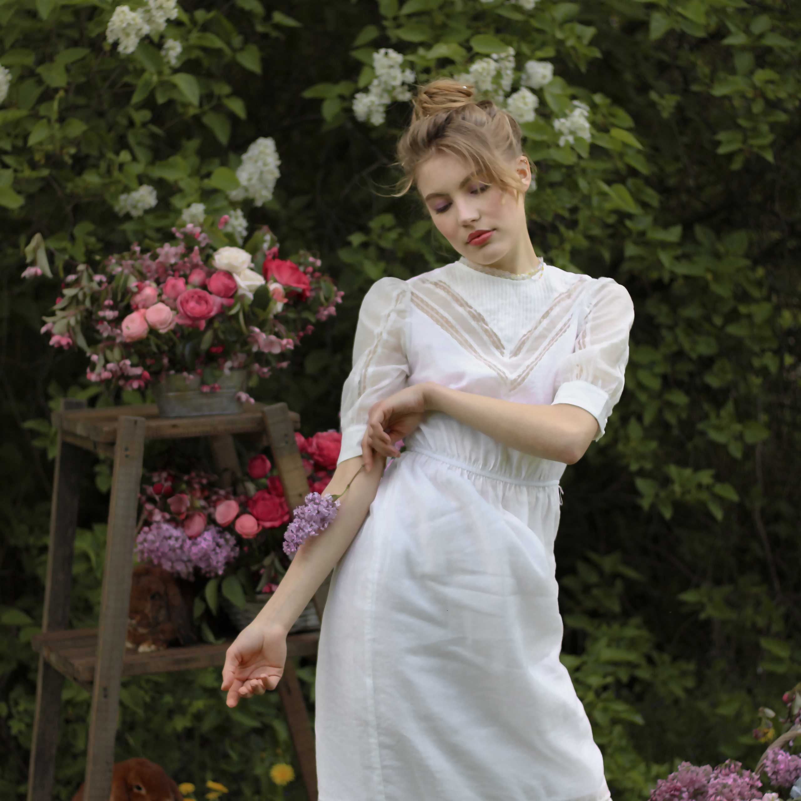 Сиреневый сад