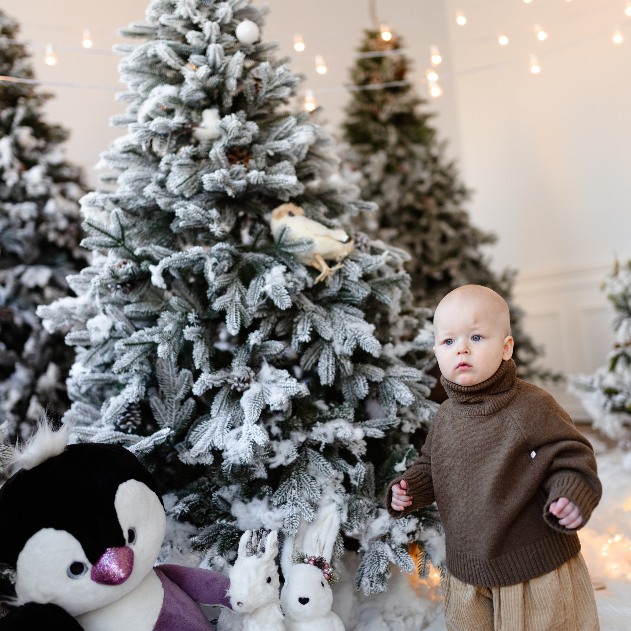 Отзывы. Фотограф Донецк Симкович София