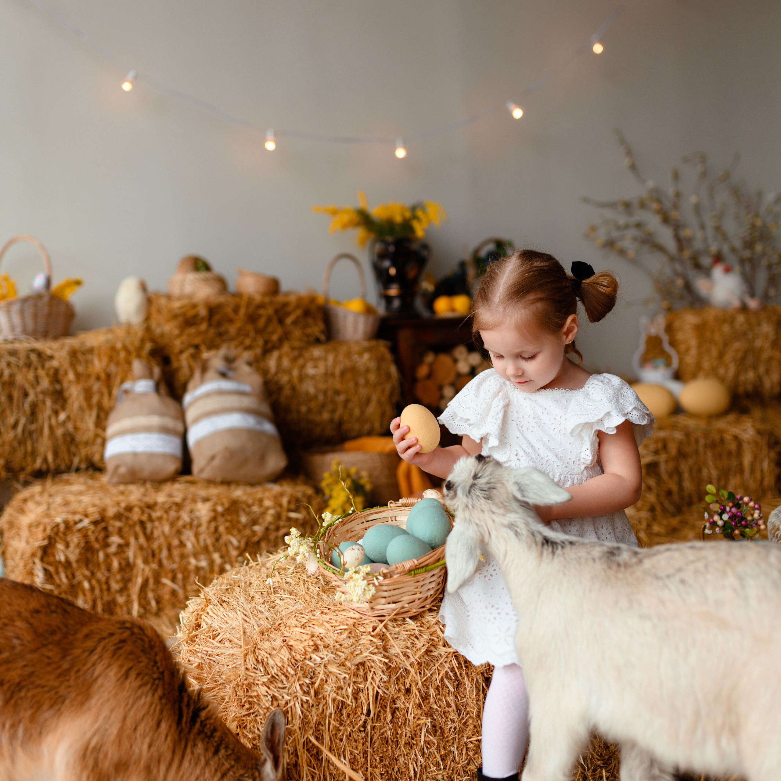 Отзывы. Фотограф Донецк Симкович София