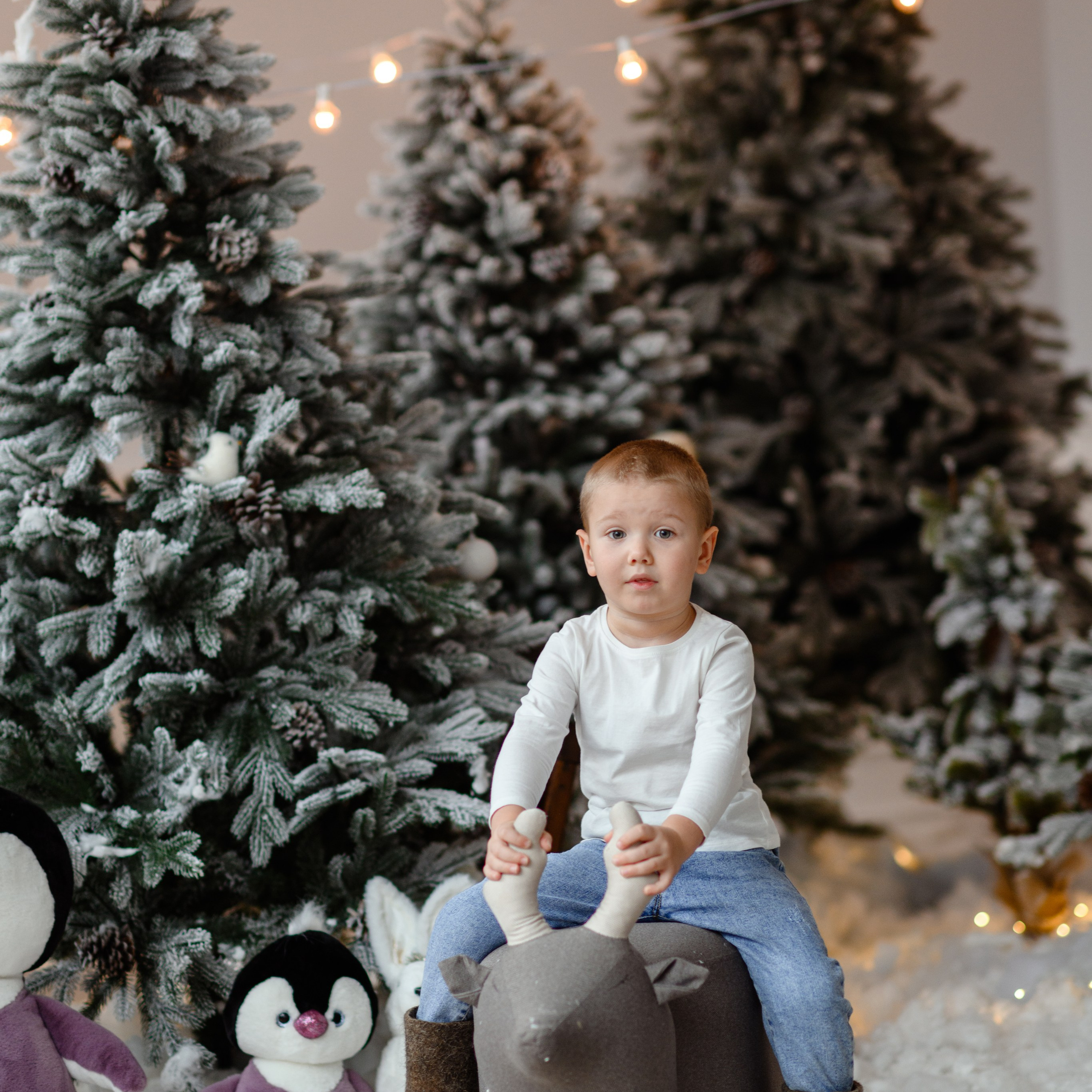 Отзывы. Фотограф Донецк Симкович София