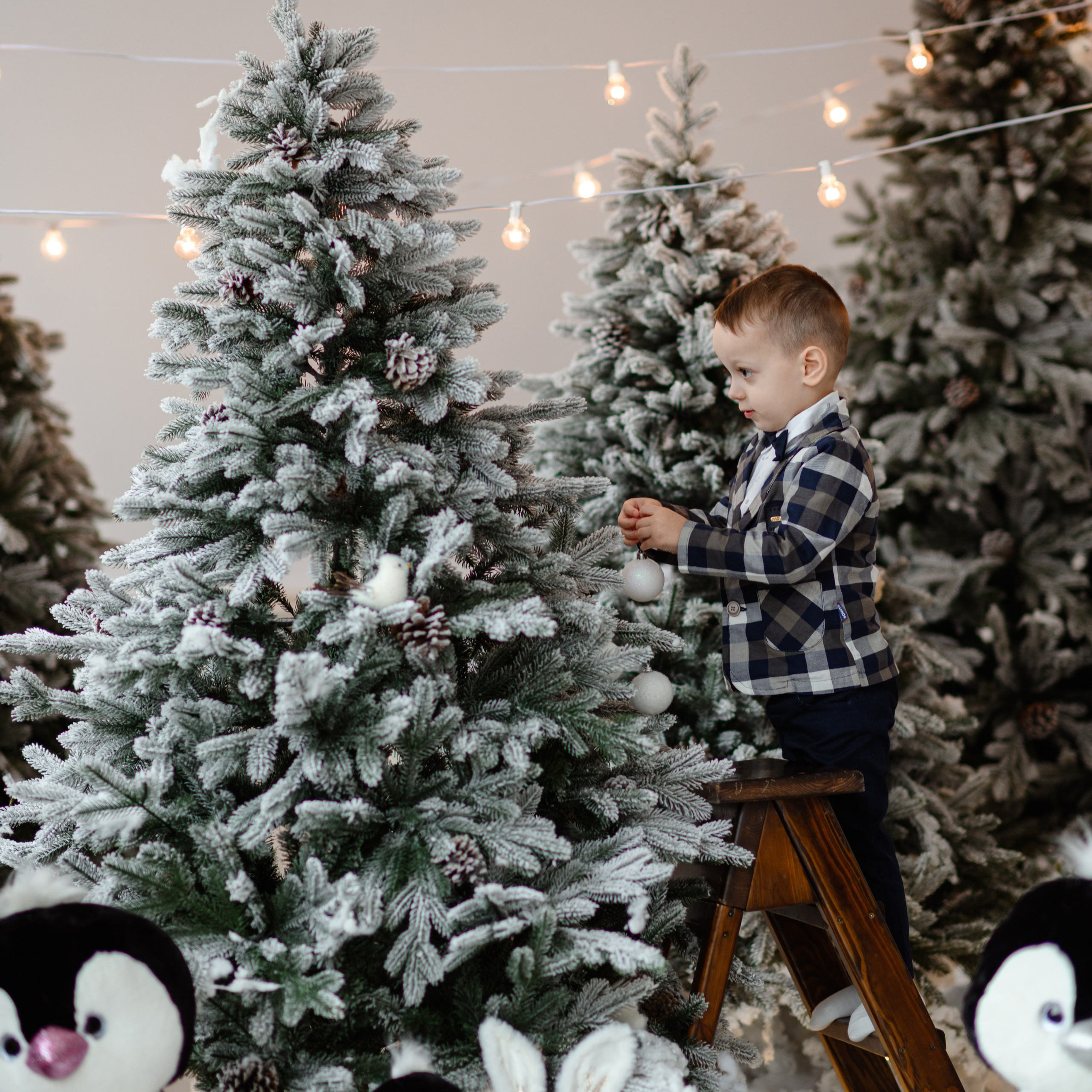 Отзывы. Фотограф Донецк Симкович София