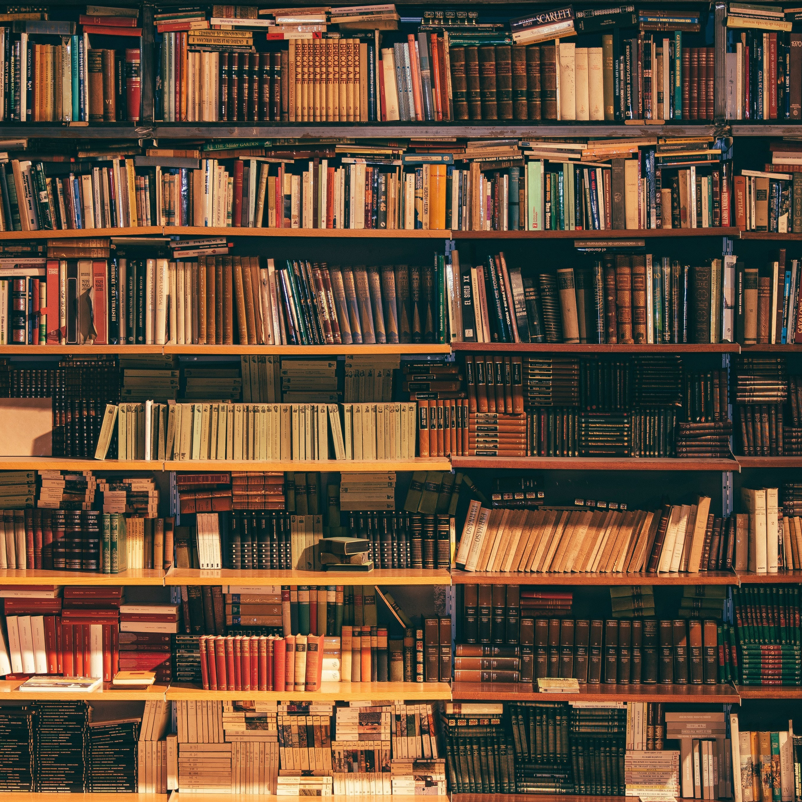 Отзывы о работе фотографа Елены Манжелей. Выпускные альбомы для школьников в Череповце