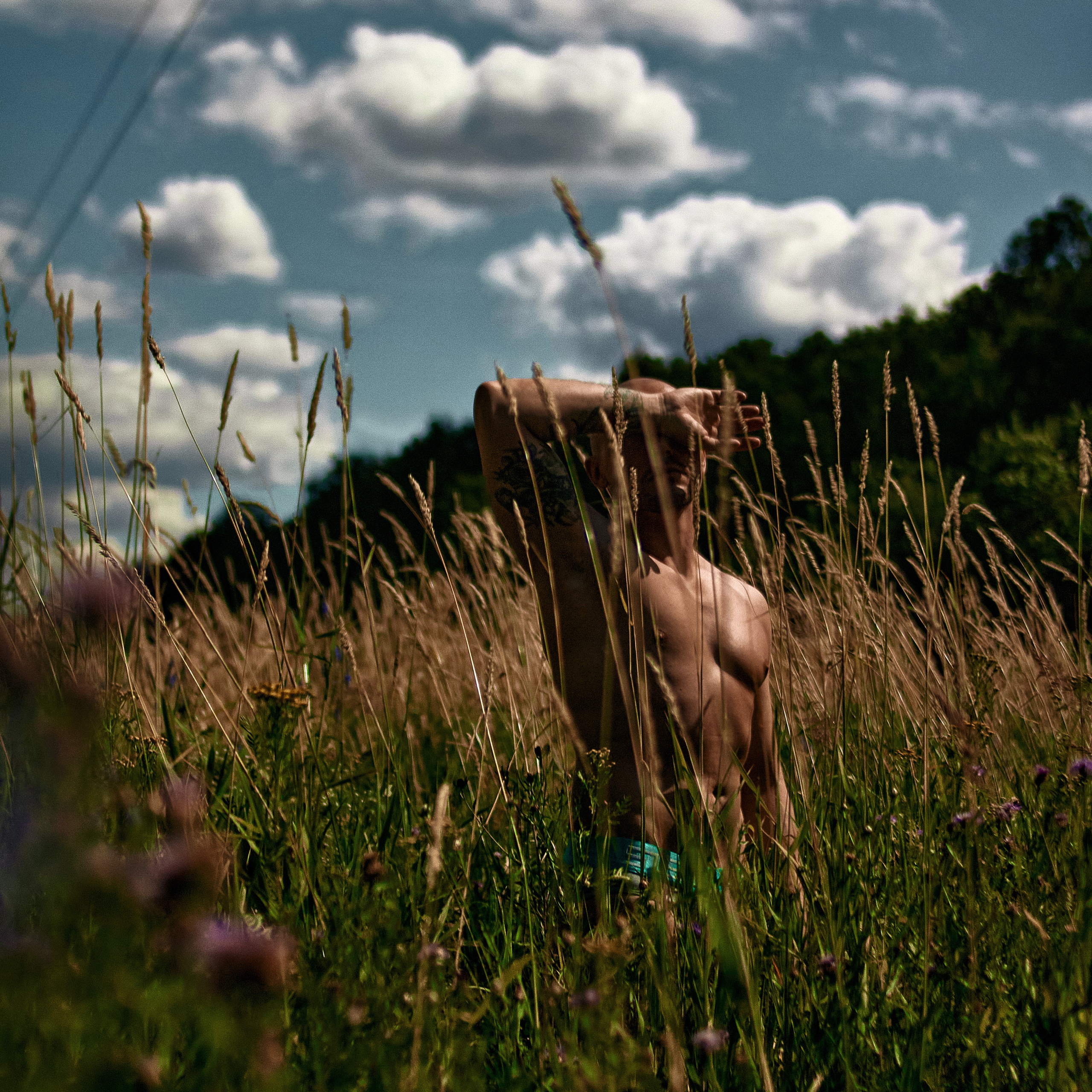 Сергей x Поле