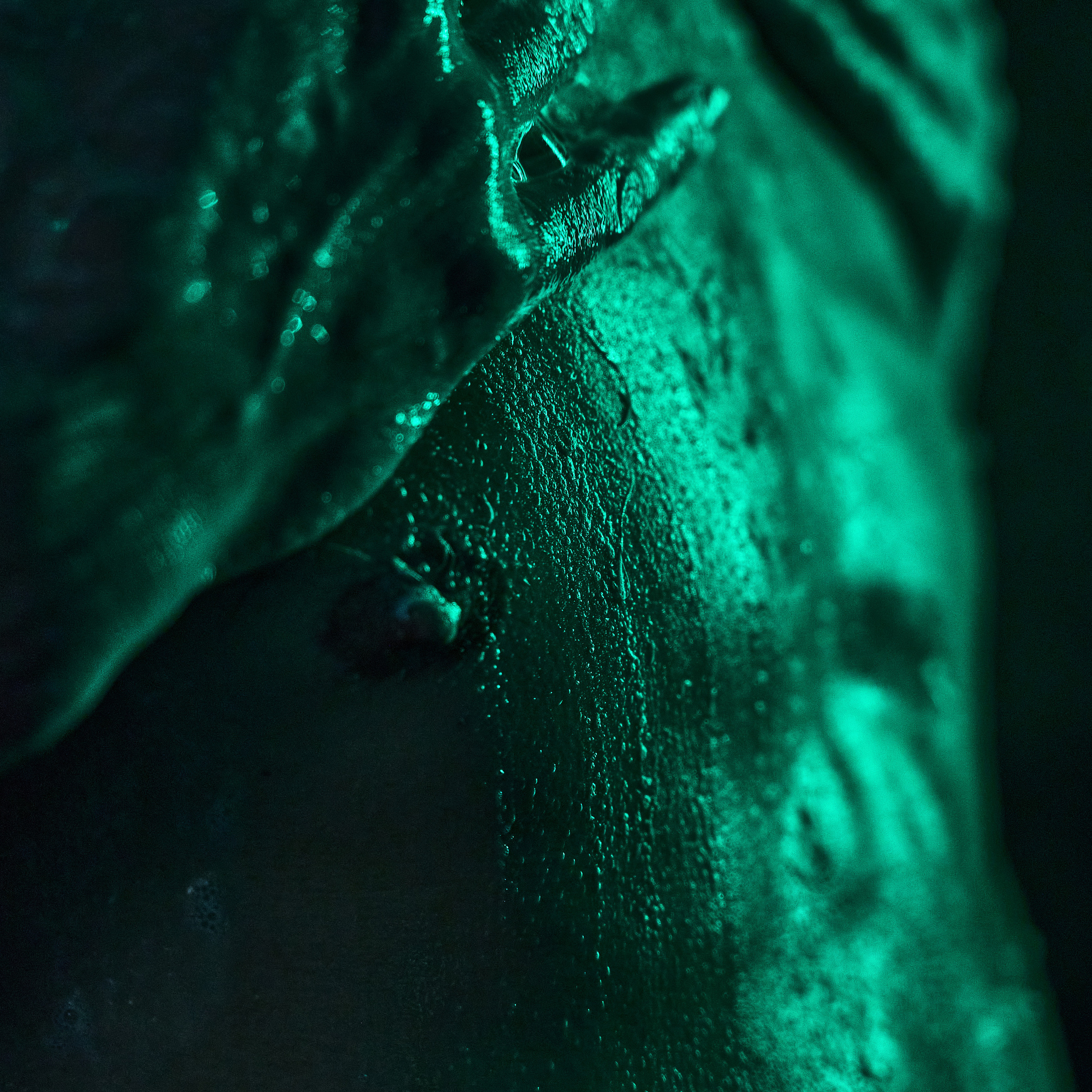 Alex x Aparts. Андрей Дудкин. Контент фотограф в Москве