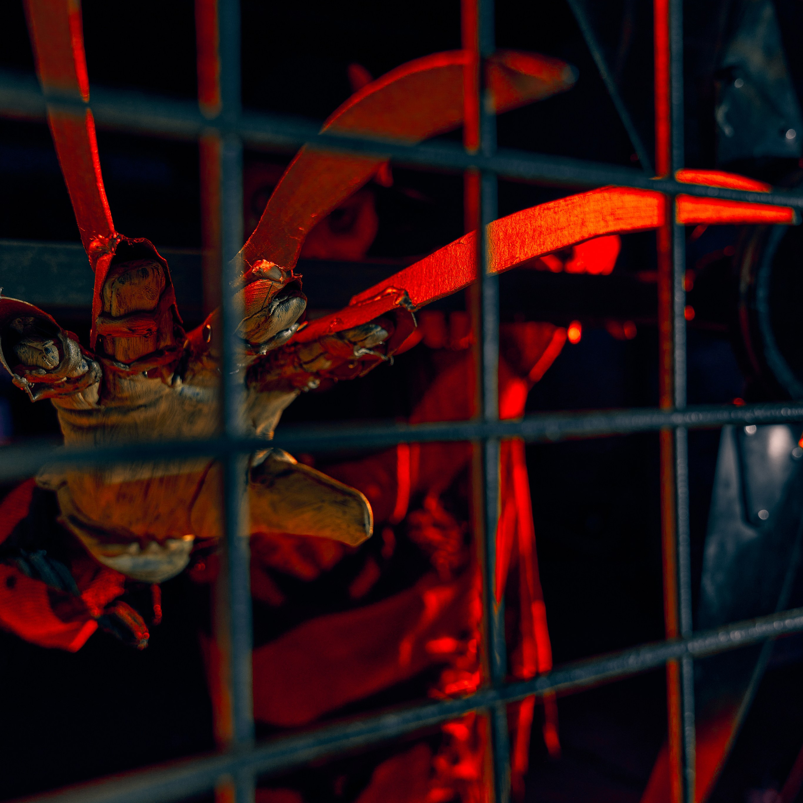 FREDDY. Андрей Дудкин. Контент фотограф в Москве