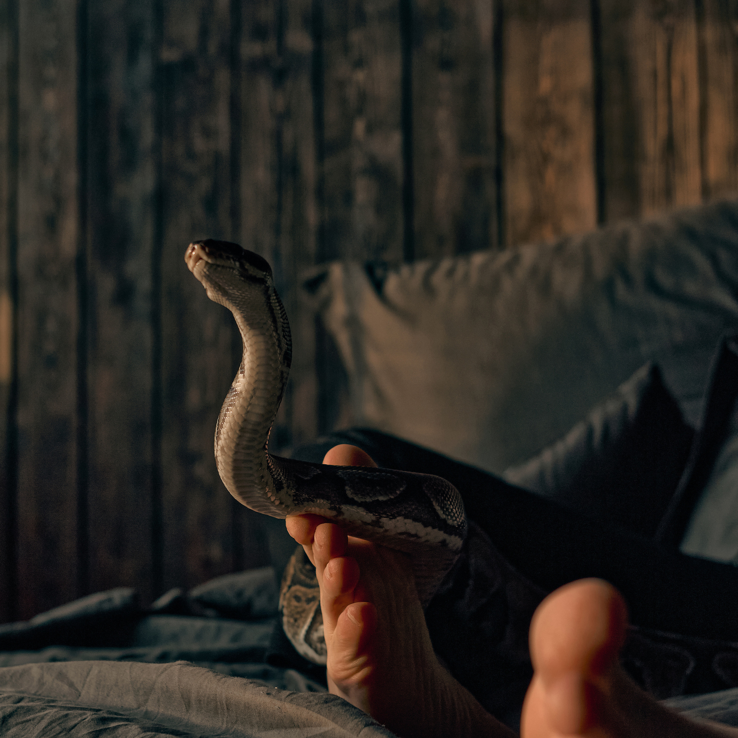 Артем. Андрей Дудкин. Контент фотограф в Москве