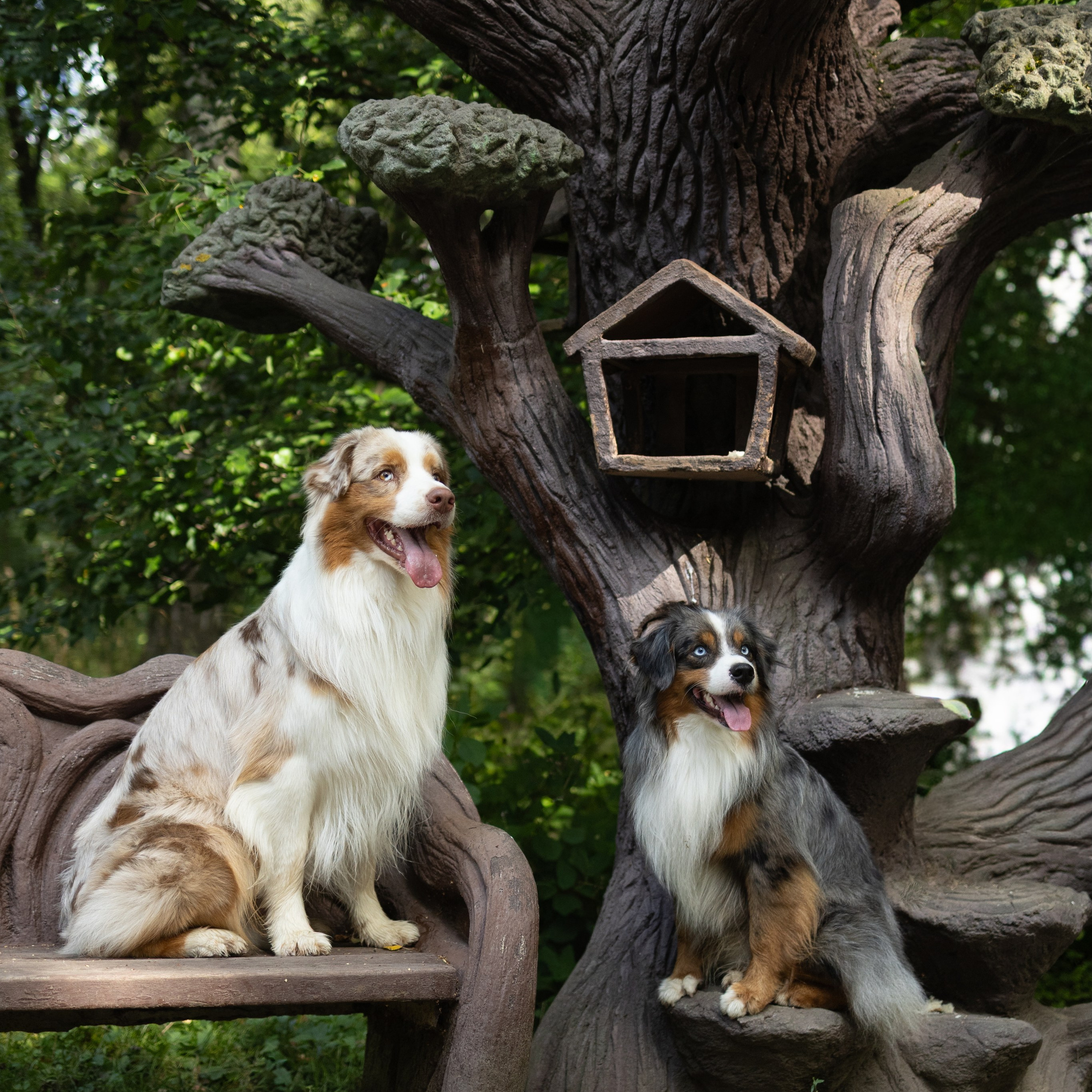 Макс и&nbsp;Сезам